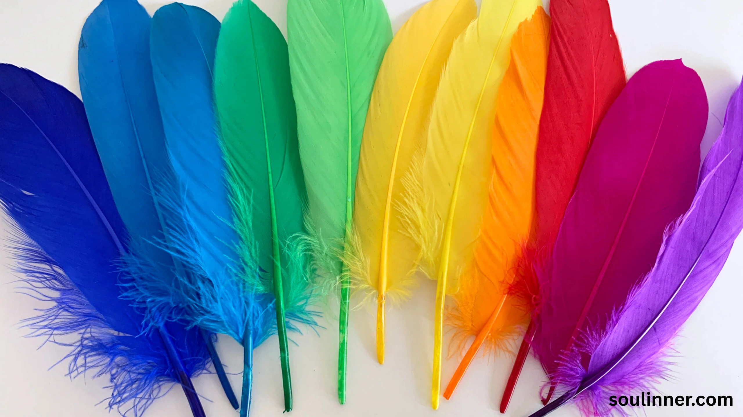 Feather Symbolism