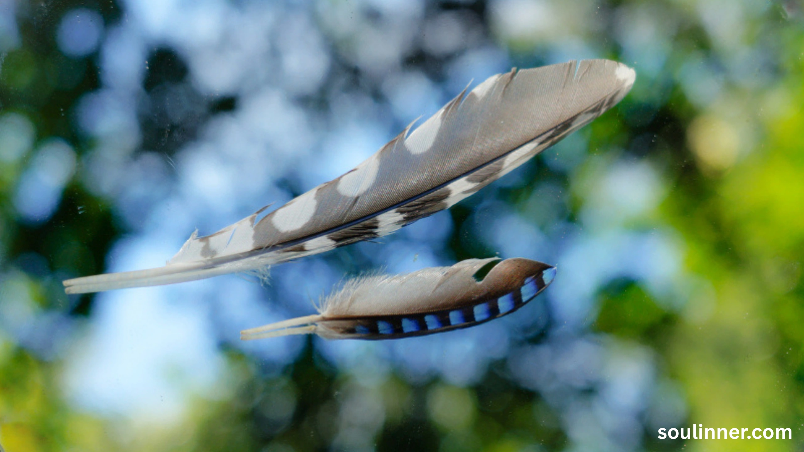 Feather Symbolism