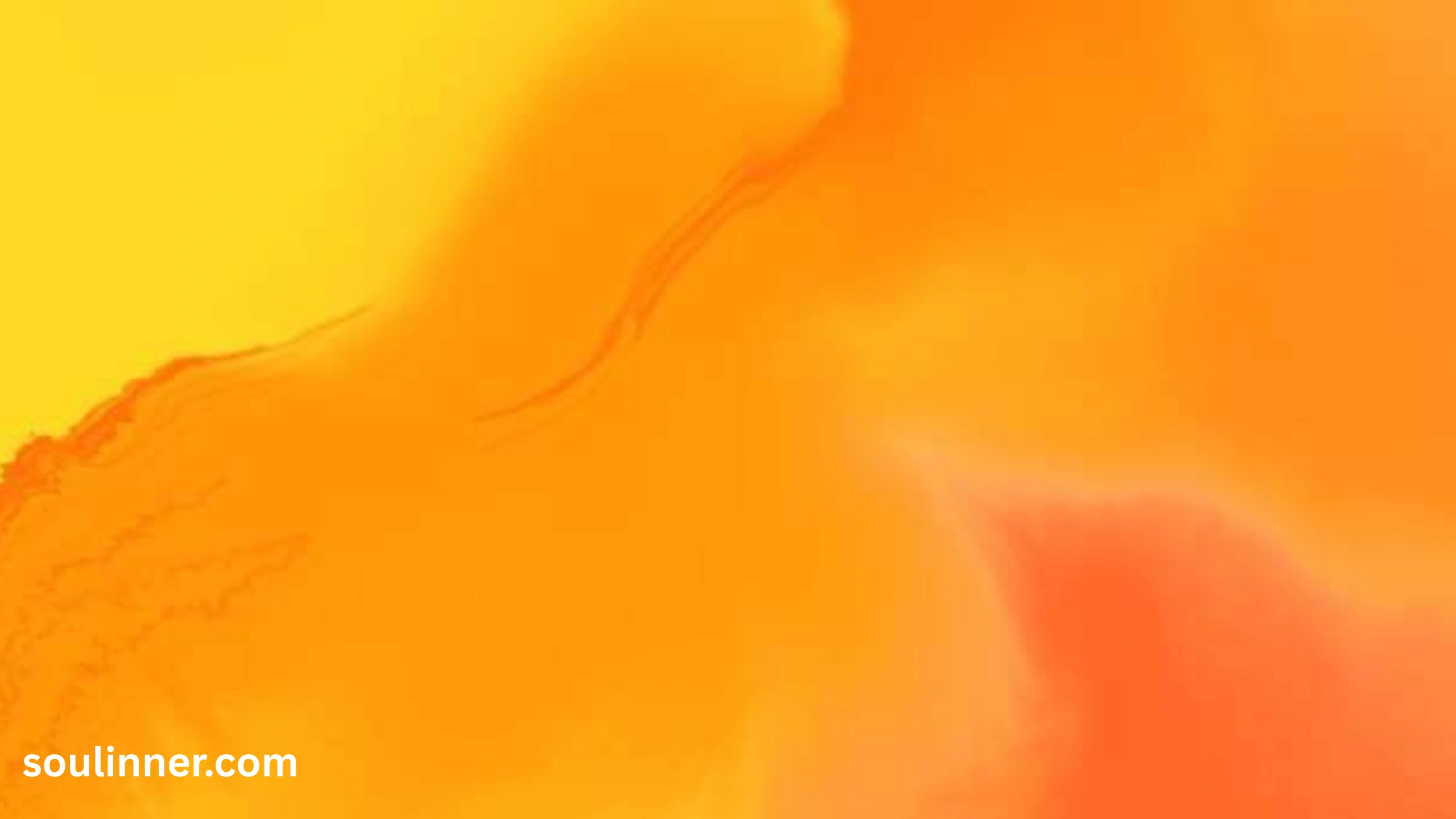 Orange Ladybug Meaning 
