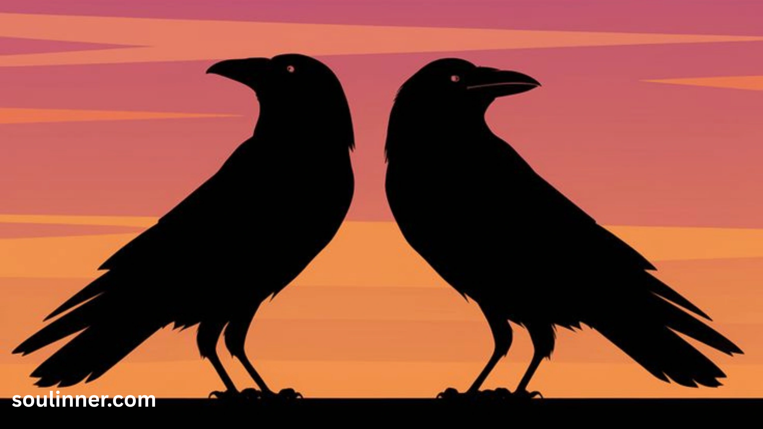 Seeing 2 Crows Spiritual Meaning 