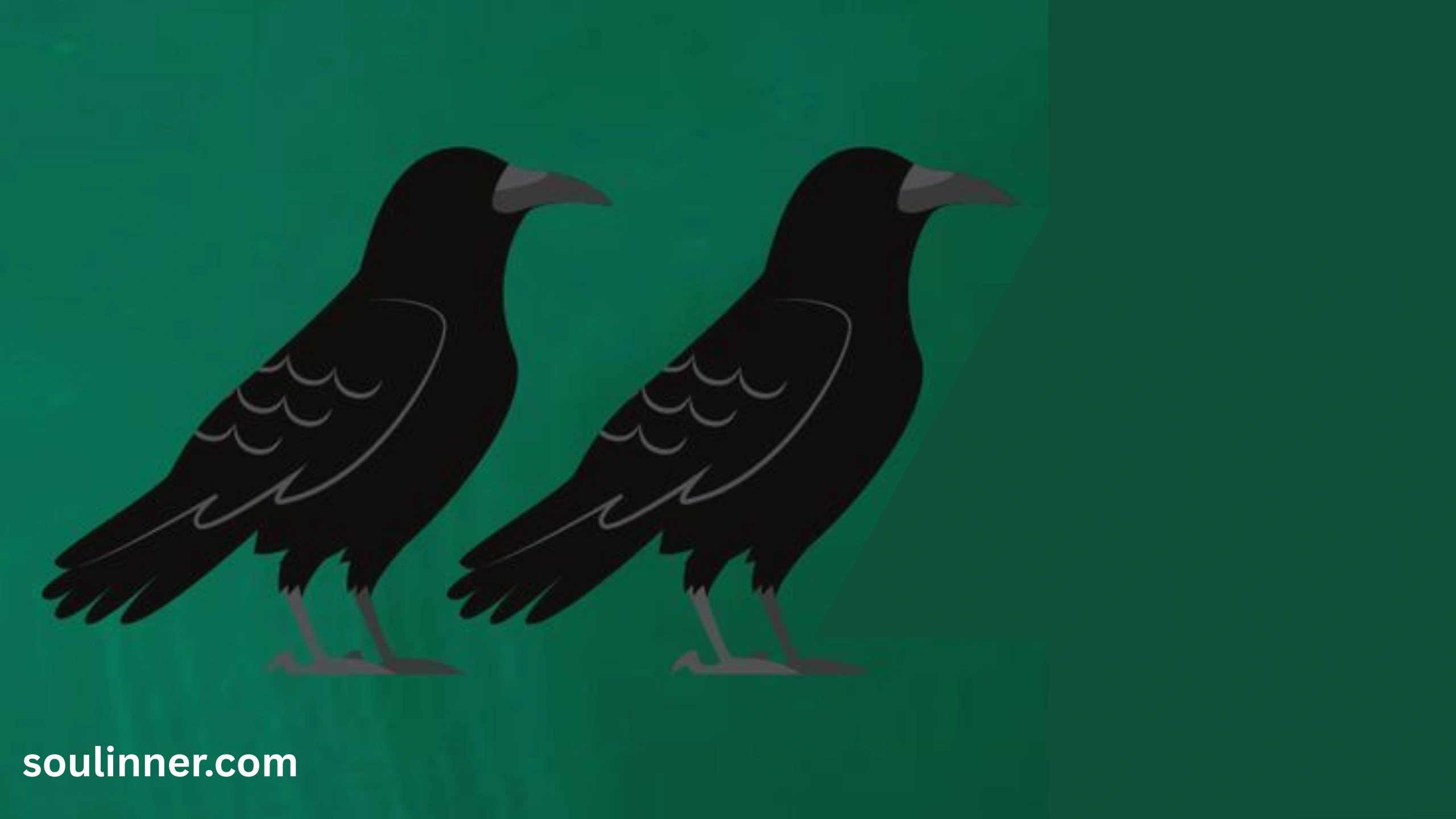 Seeing 2 Crows Spiritual Meaning 