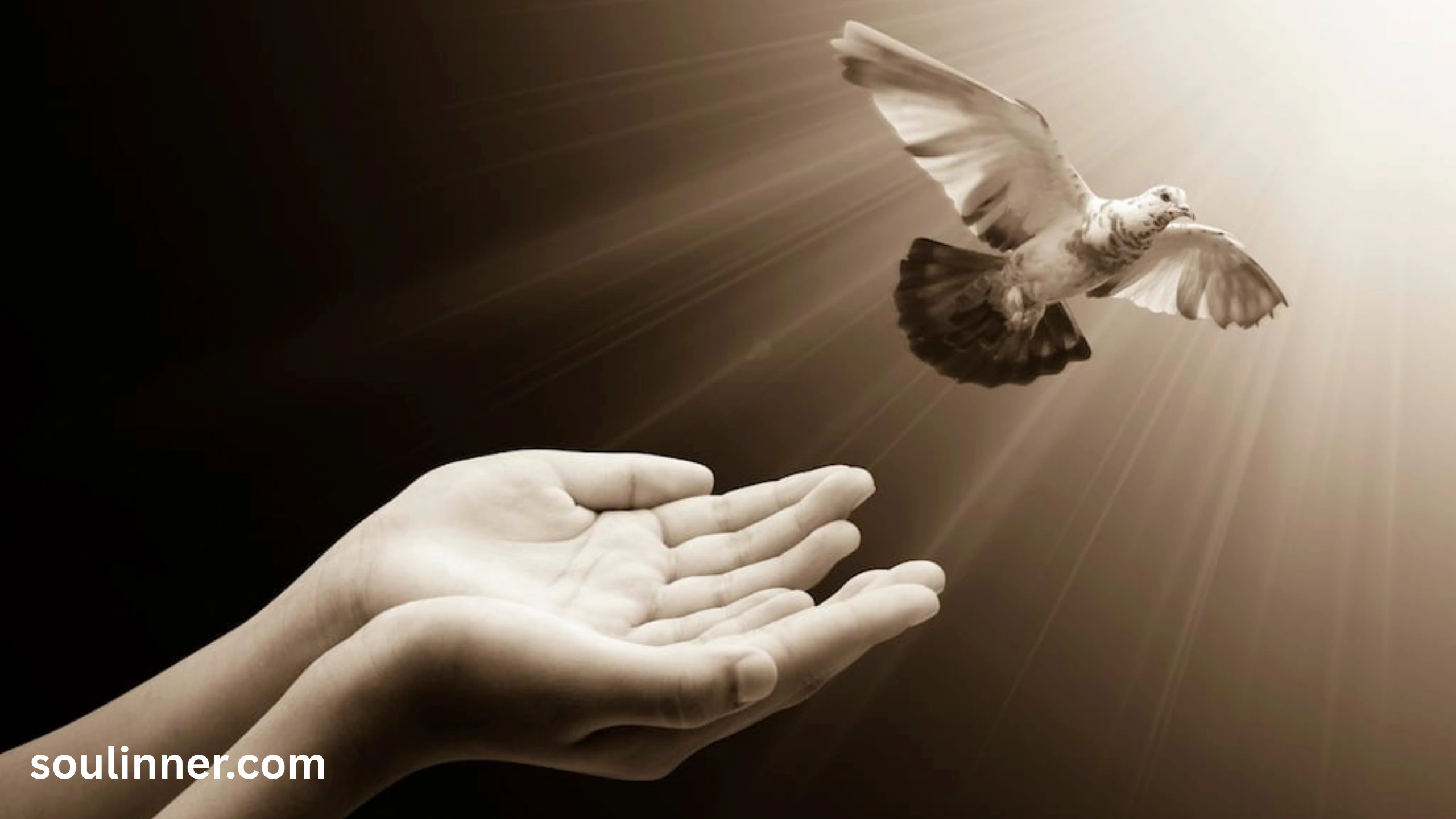  Spiritual Meaning of Birds Flying Into Your House