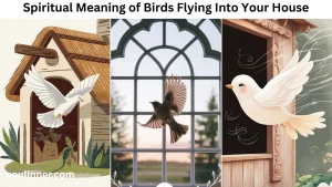 Spiritual Meaning of Birds Flying Into Your House