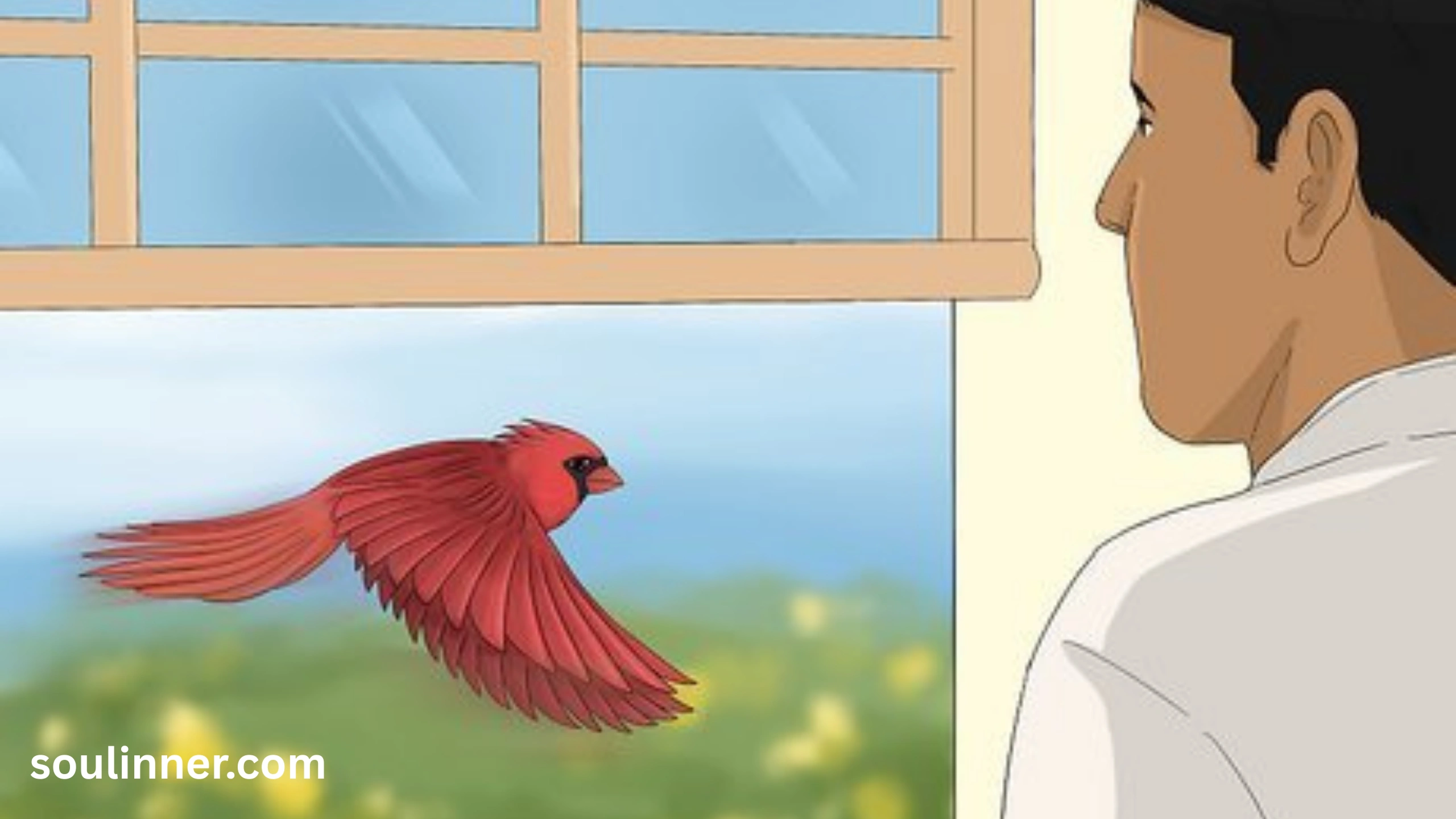  Spiritual Meaning of Birds Flying Into Your House