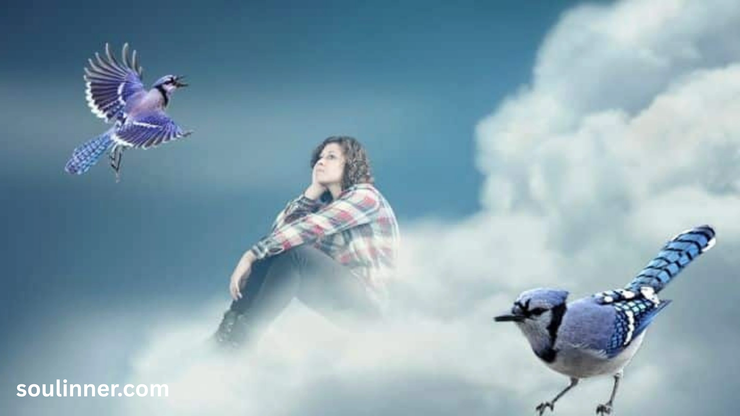 Spiritual Meaning of Seeing a Blue Jay and Cardinal Together