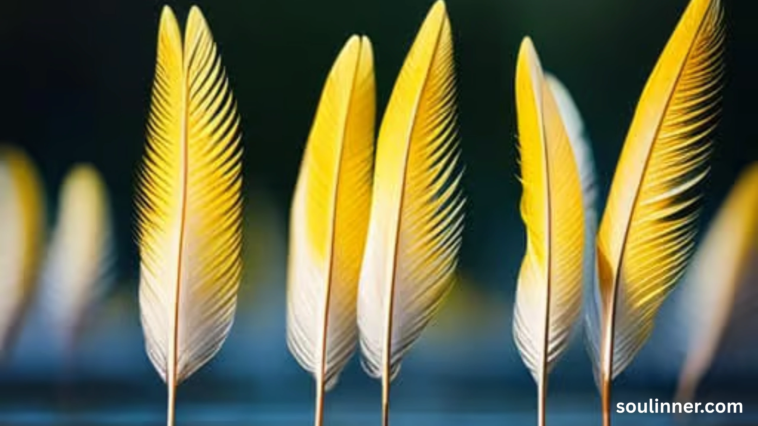 Spiritual Meaning of Seeing a Yellow Bird