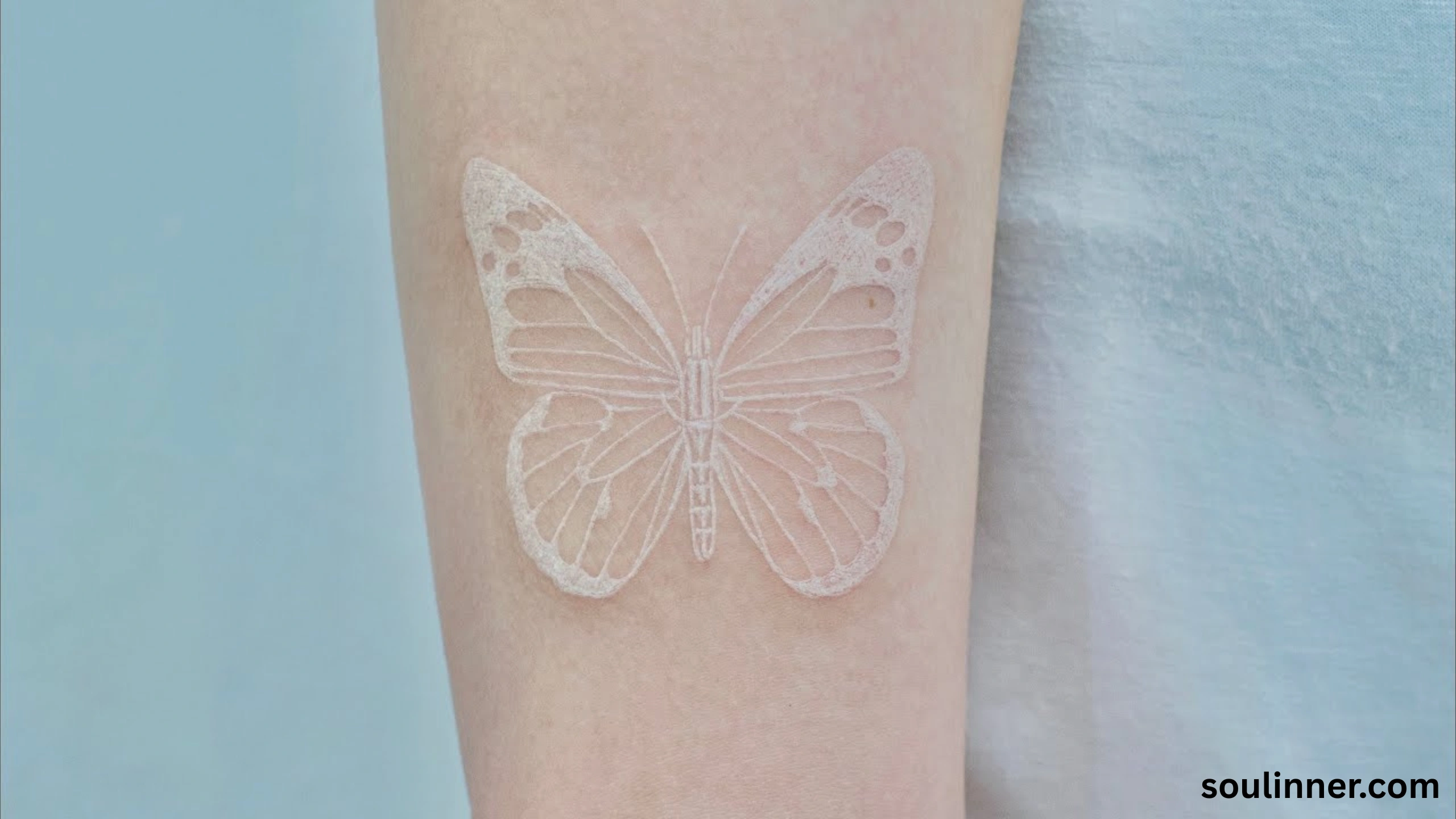 Spiritual Meaning of White Butterflies