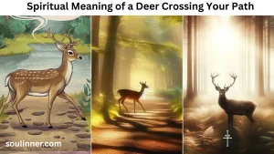 Spiritual Meaning of a Deer Crossing Your Path