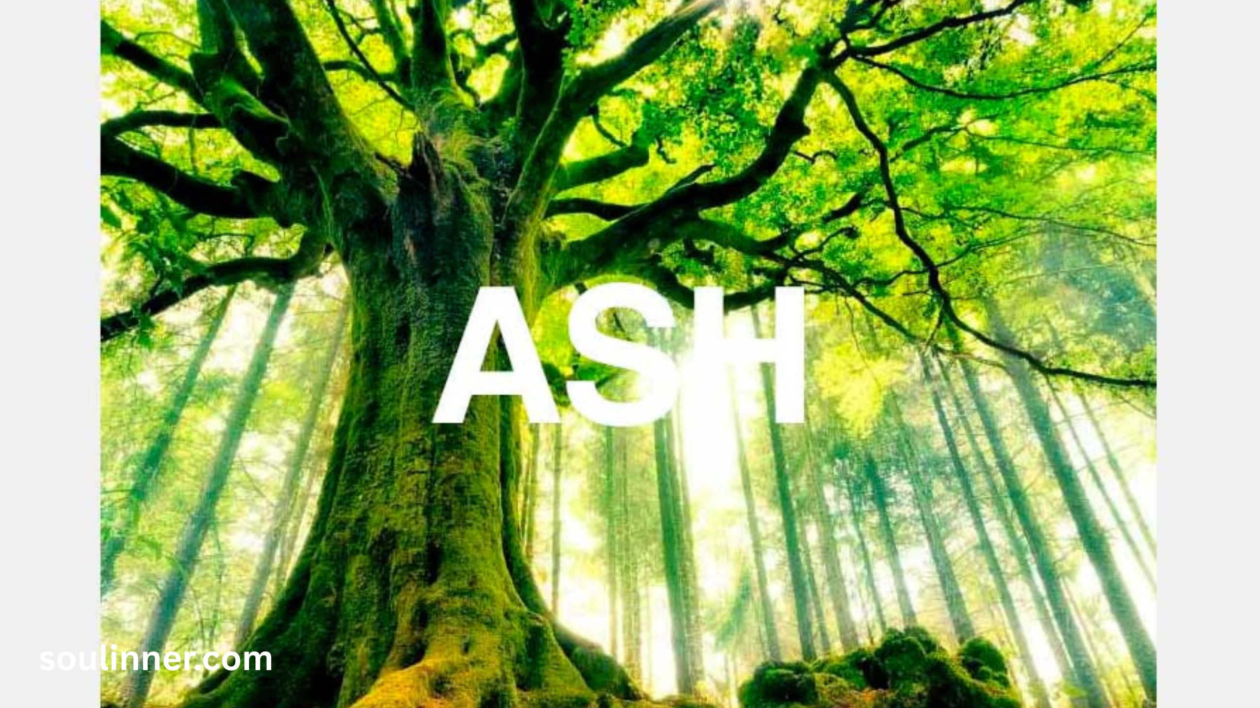 Spiritual Meaning of the Name Ashley