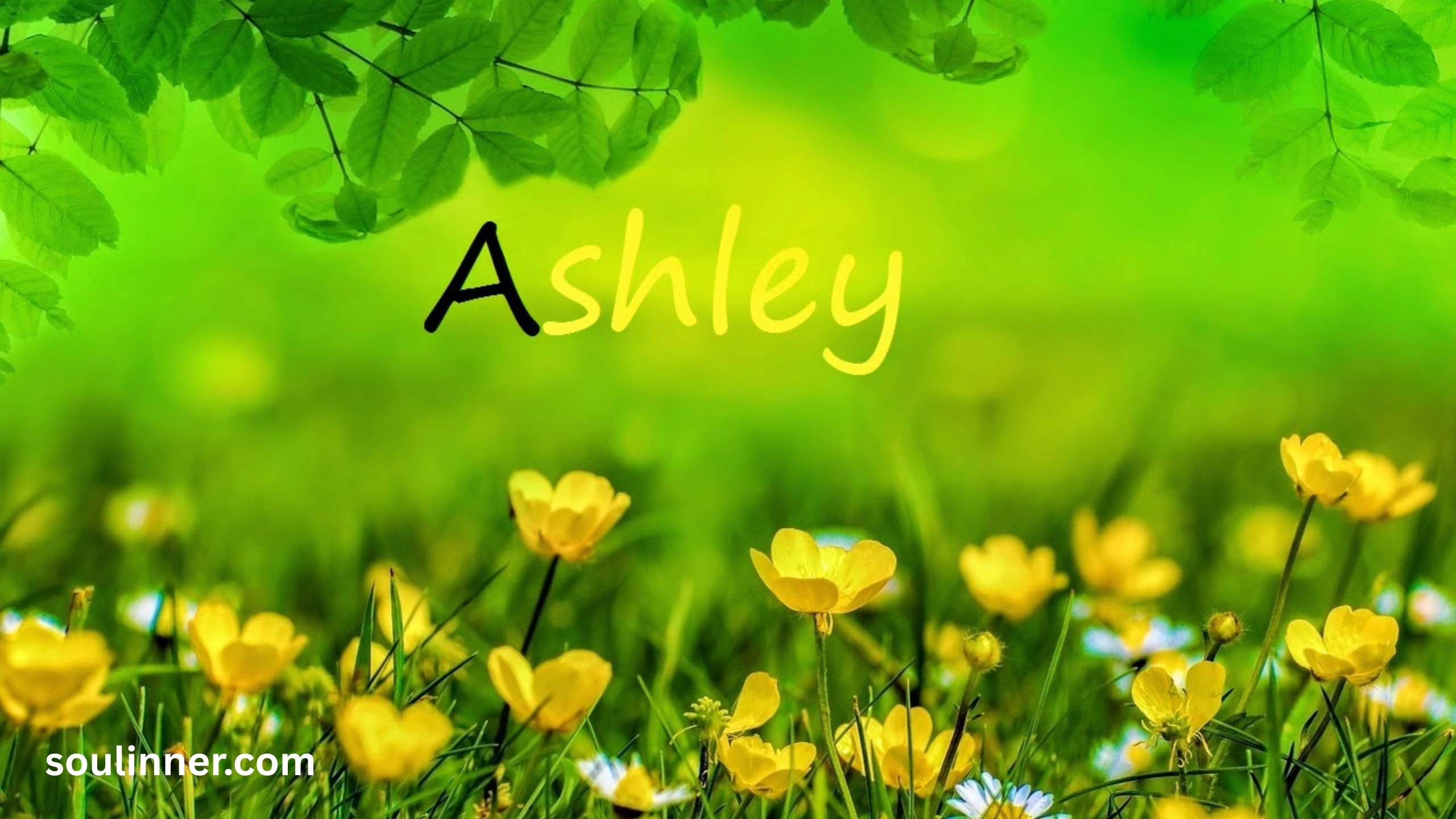 Spiritual Meaning of the Name Ashley