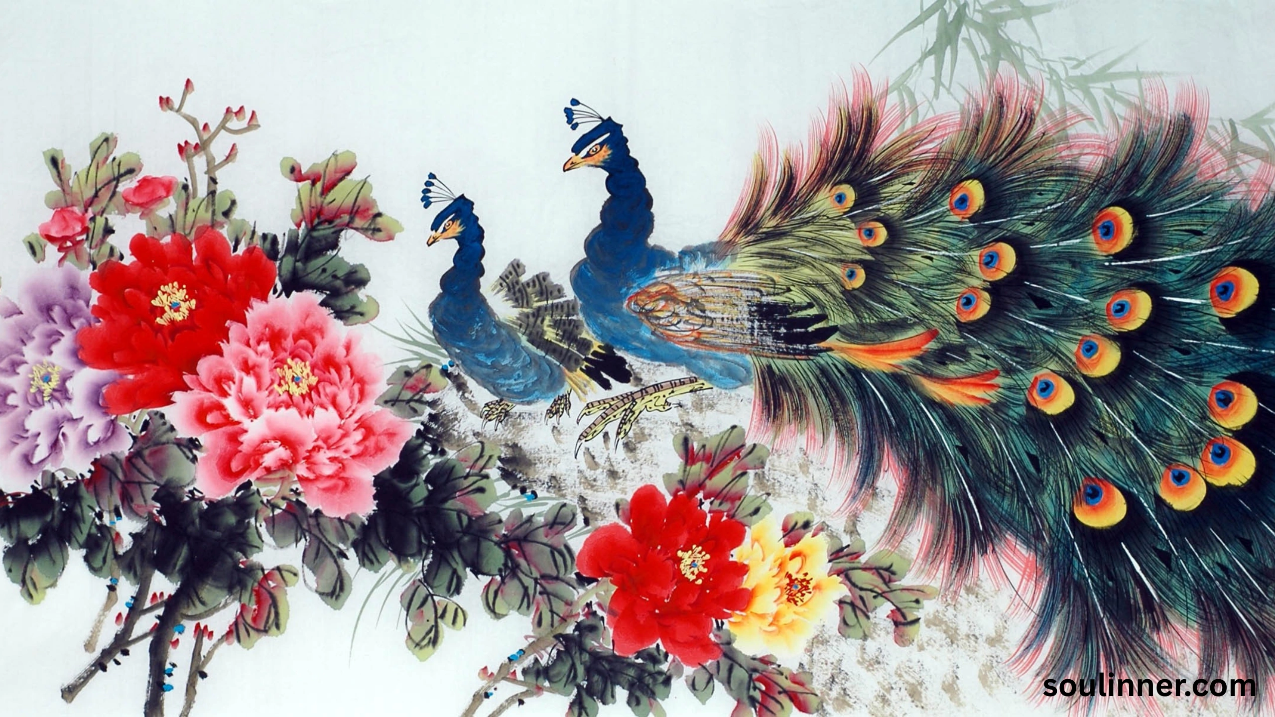 What Does It Mean When a Peacock Crosses Your Path