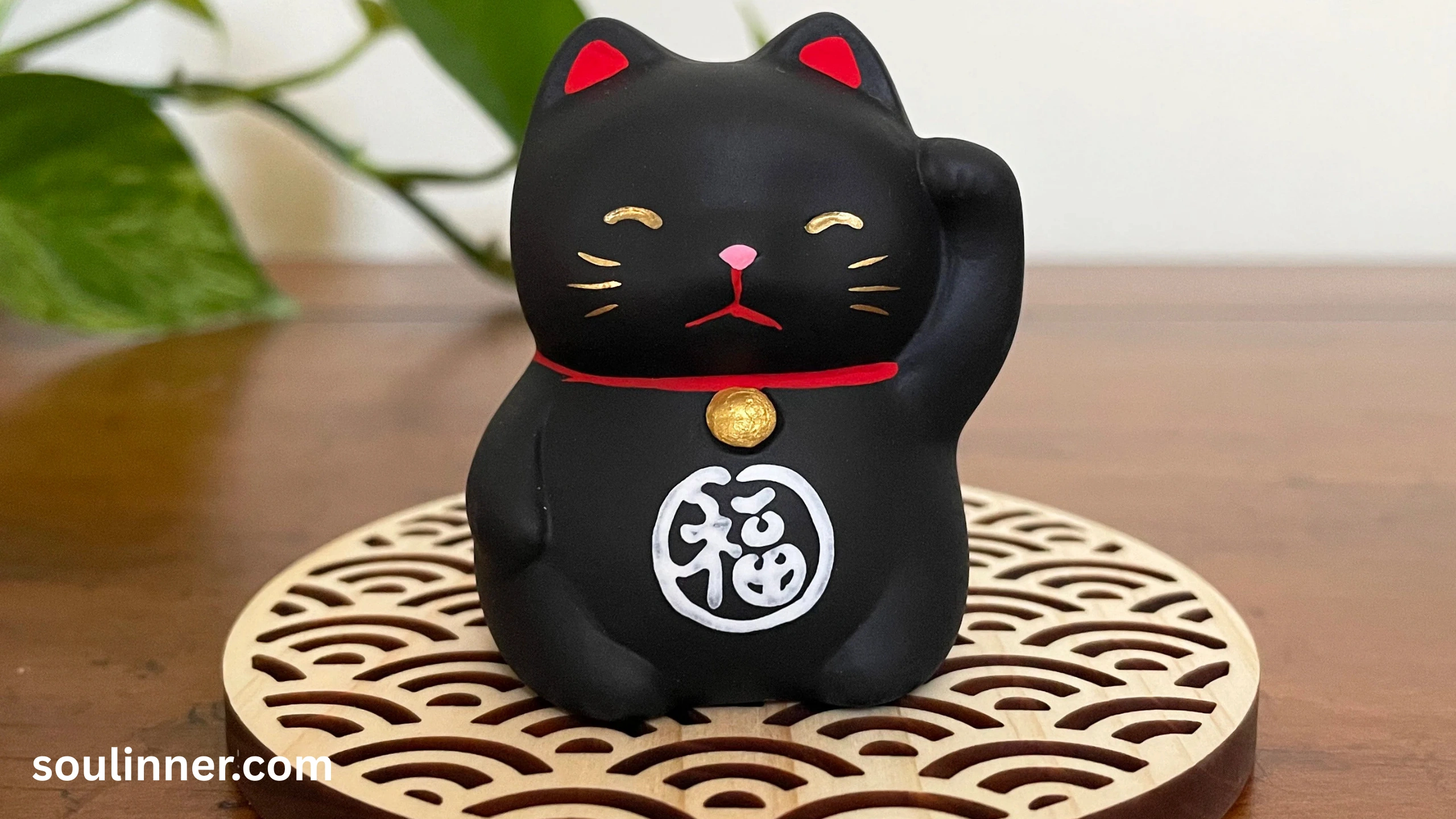 When a Stray Black Cat Chooses You spiritual meaning