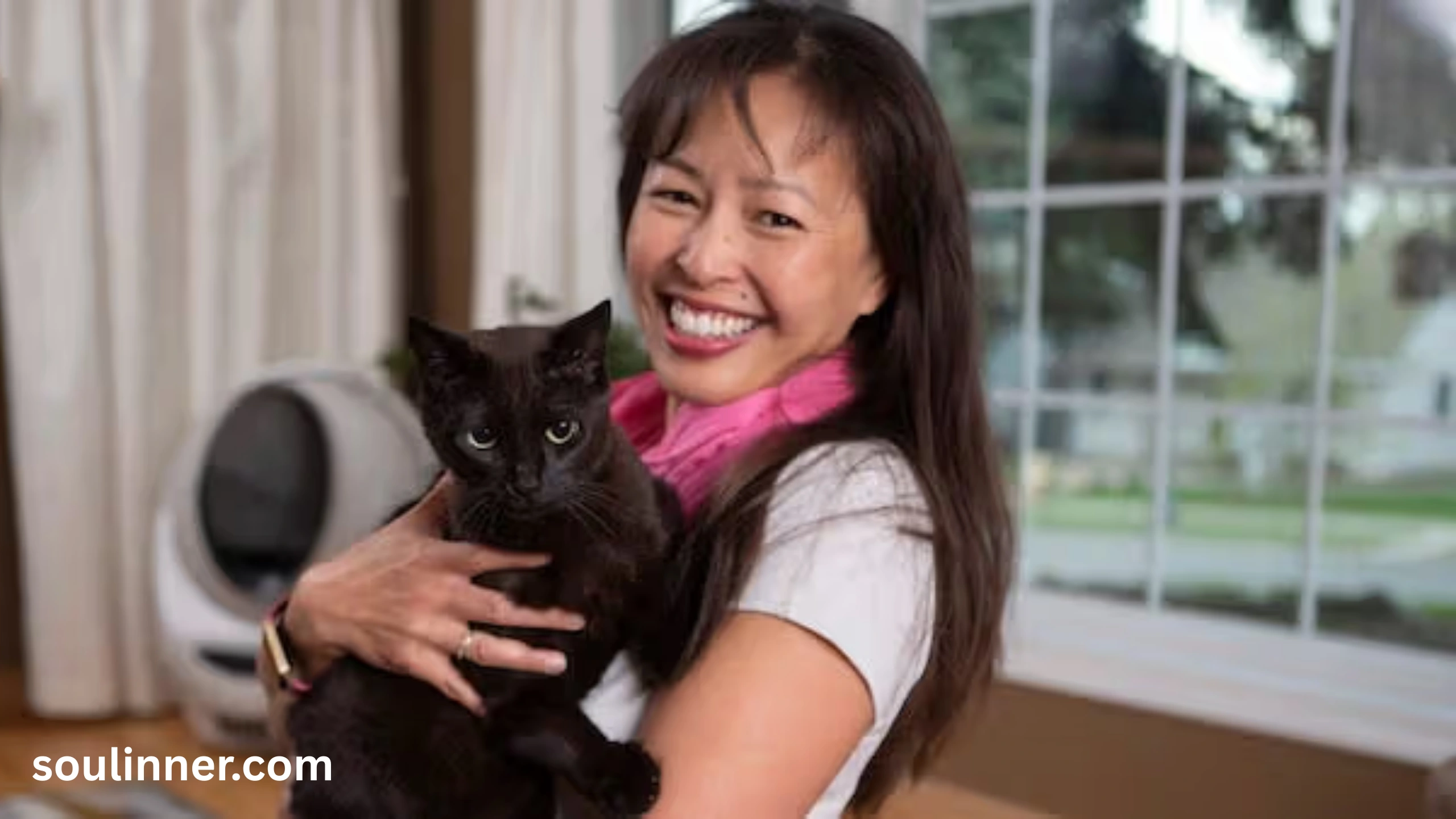 When a Stray Black Cat Chooses You spiritual meaning