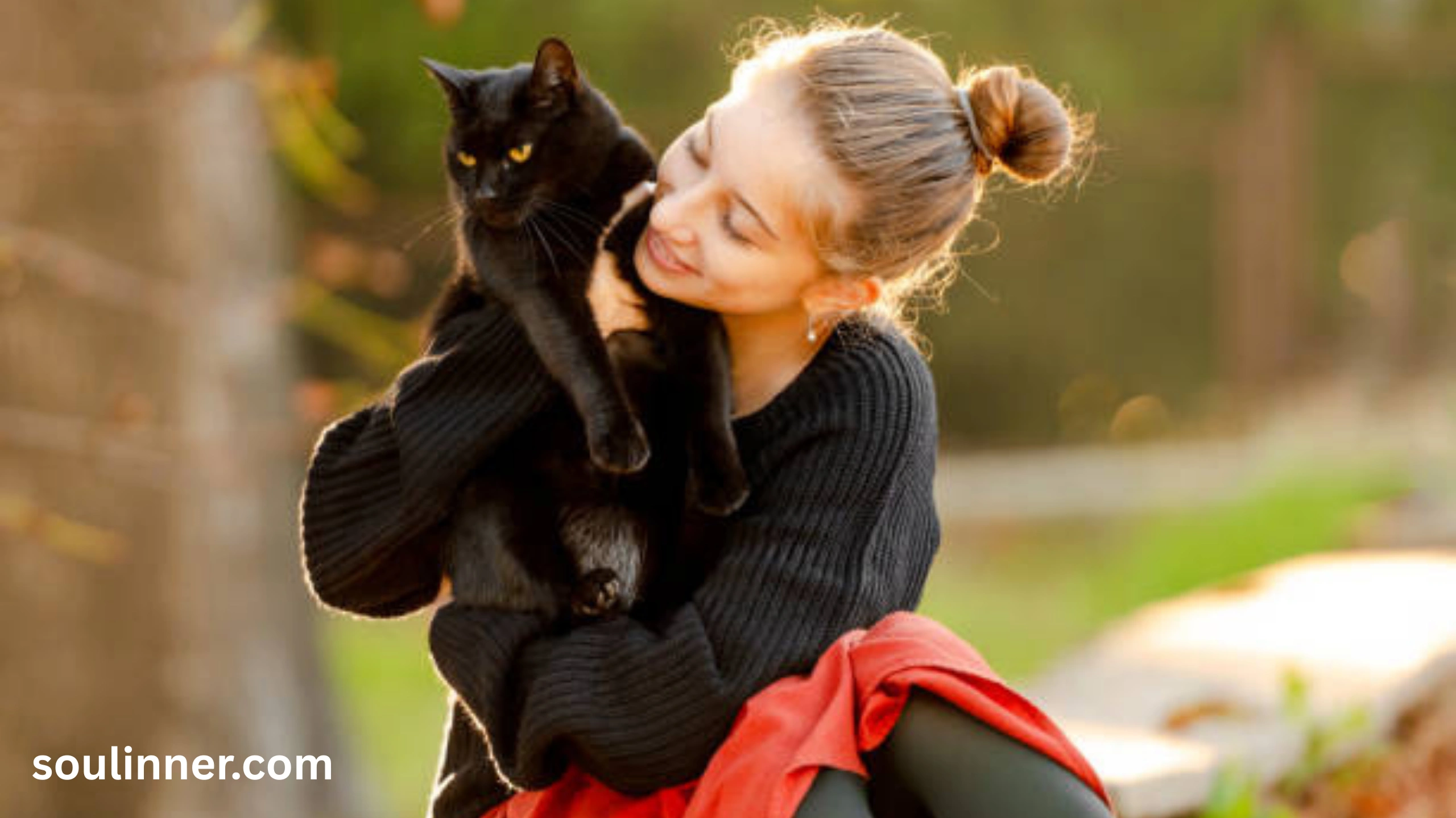 When a Stray Black Cat Chooses You spiritual meaning