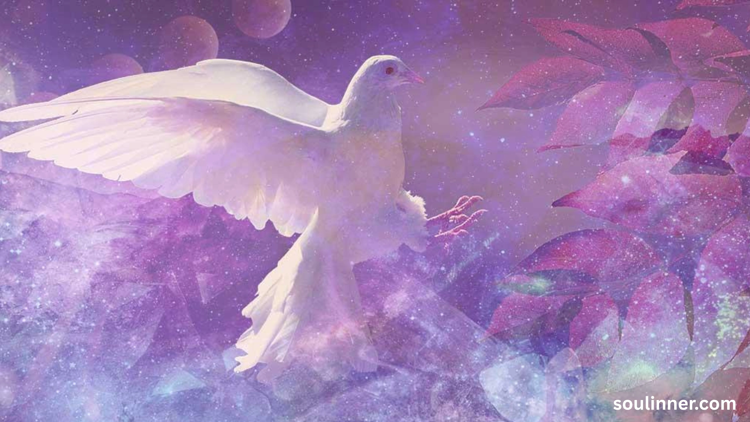White Pigeon meaning
