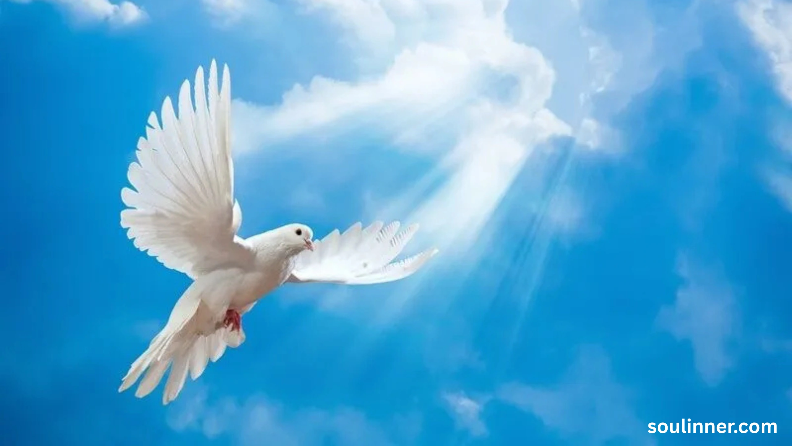 White Pigeon meaning