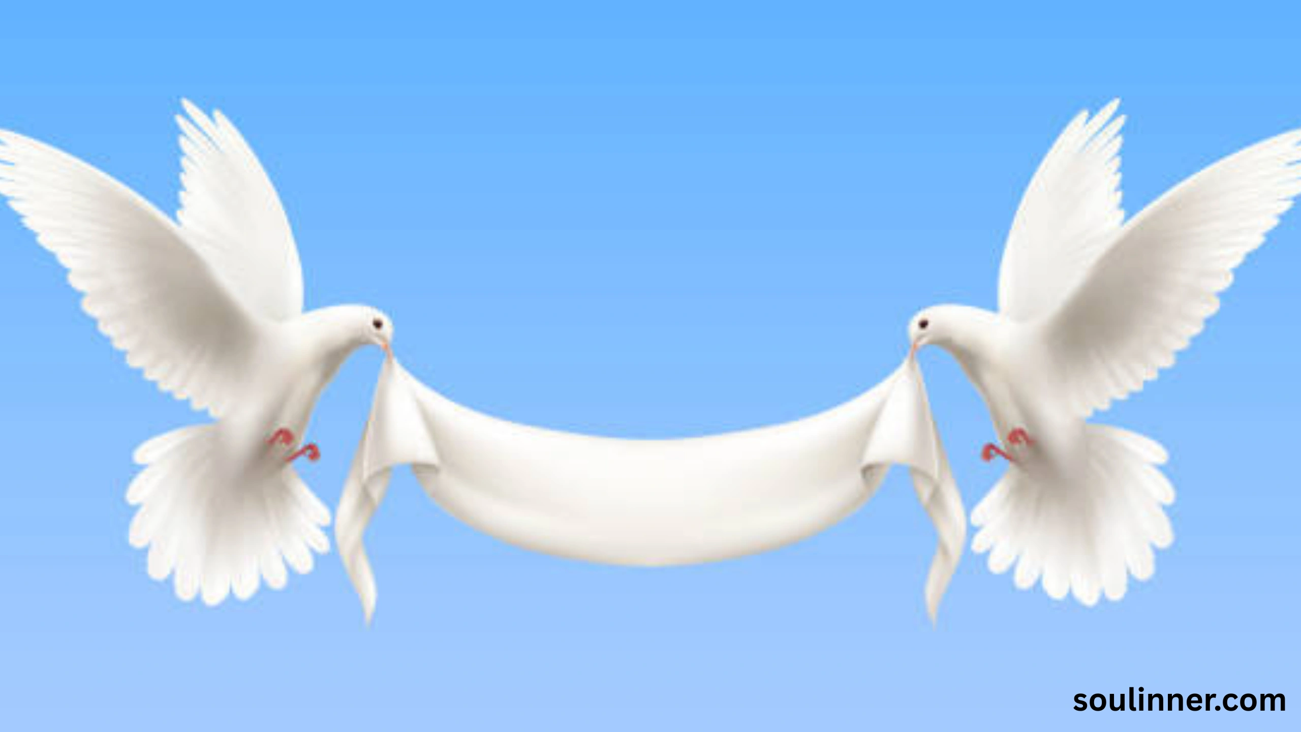 White Pigeon meaning