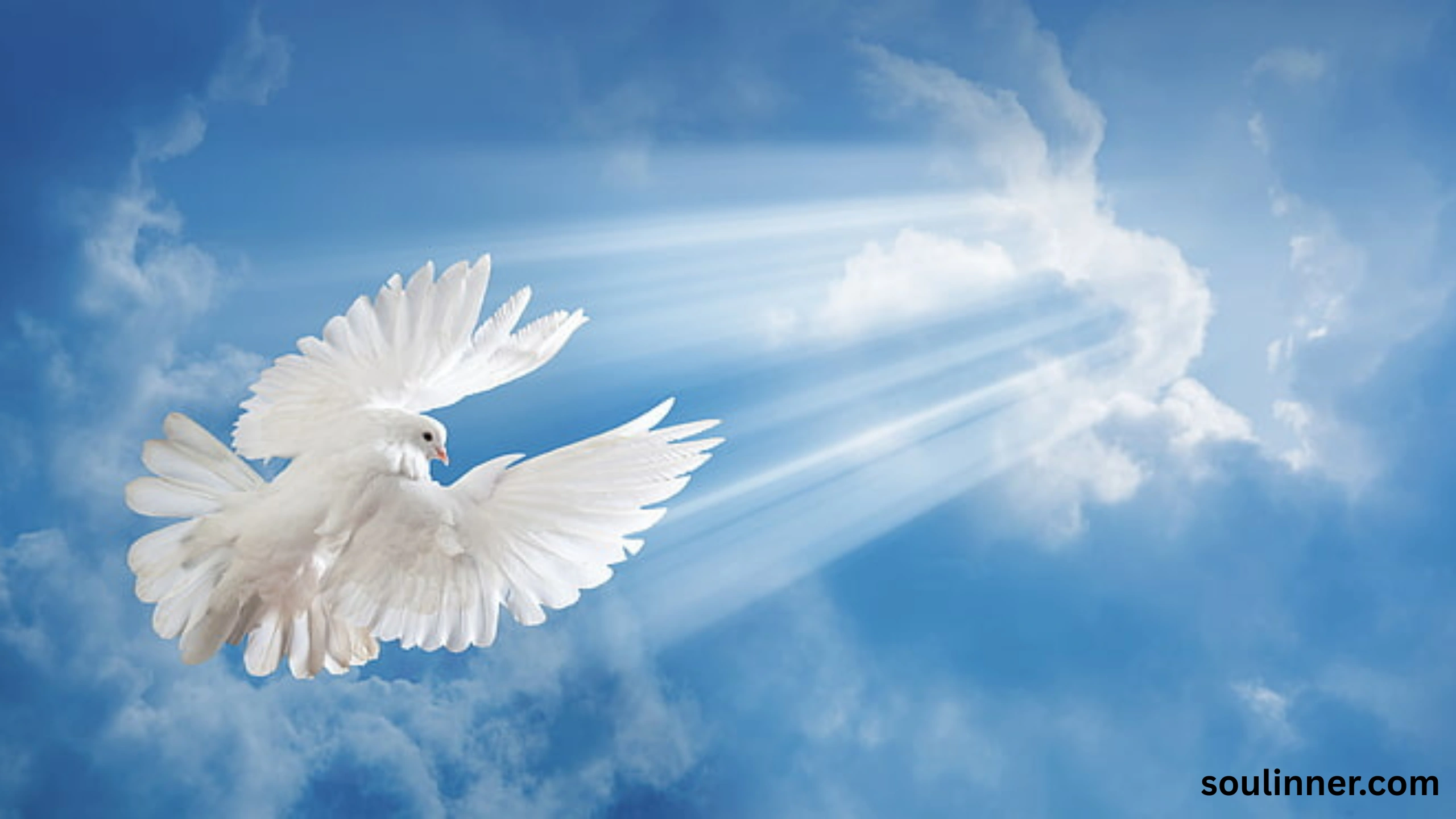White Pigeon meaning