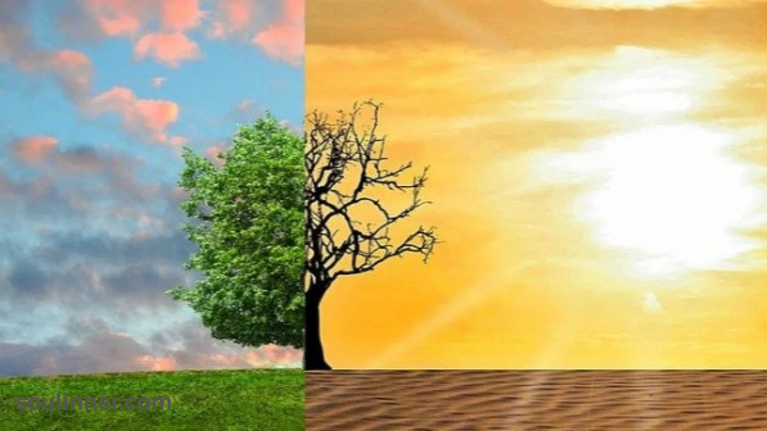 Wind Symbolism