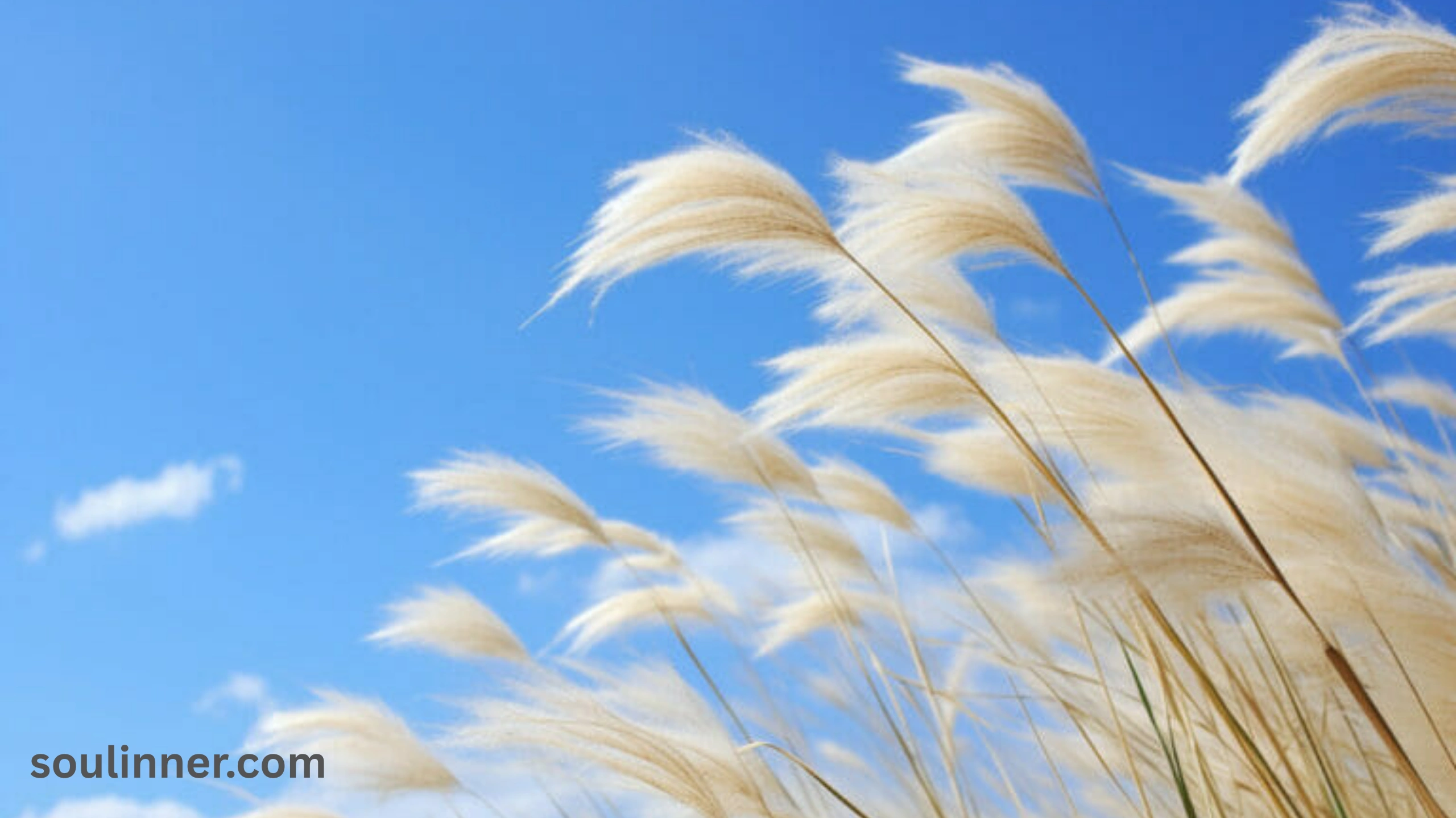Wind Symbolism