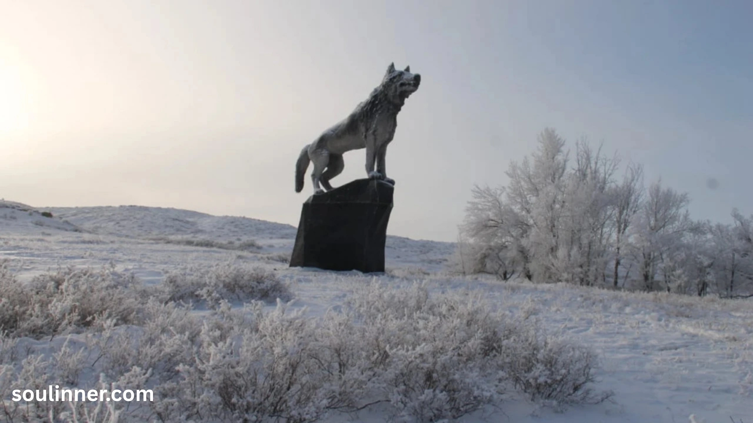 Wolf Symbolism