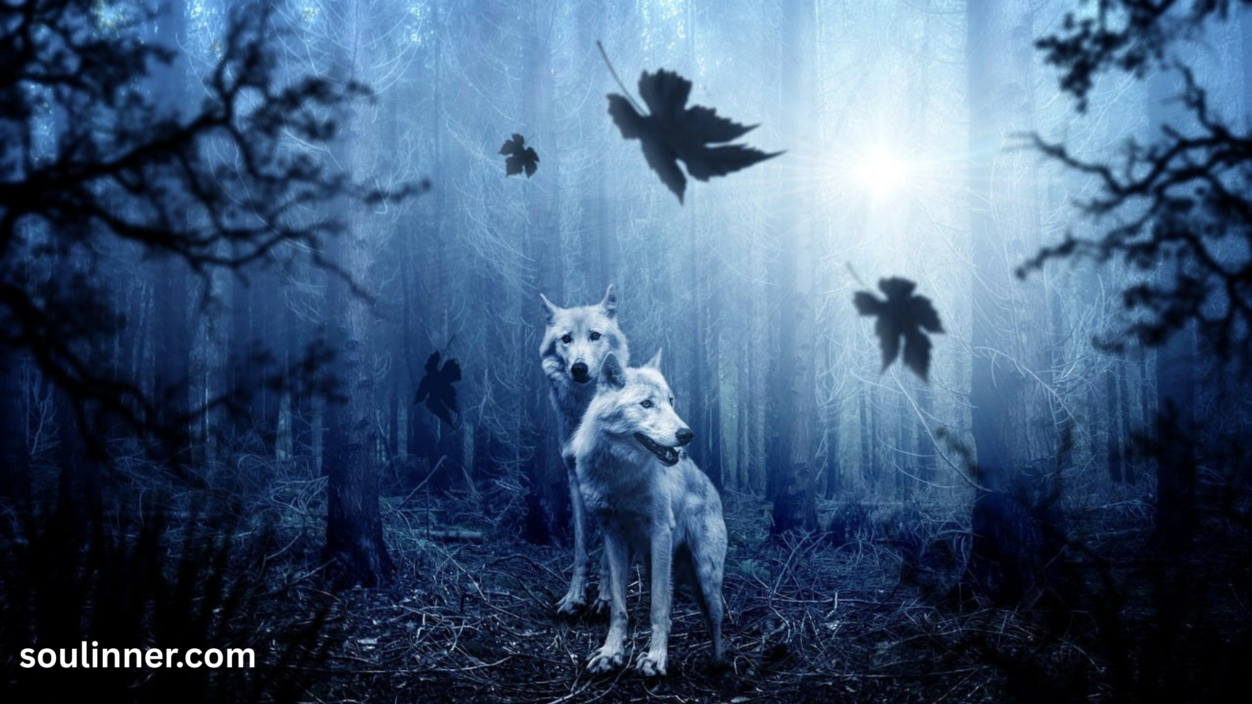 Wolf Symbolism