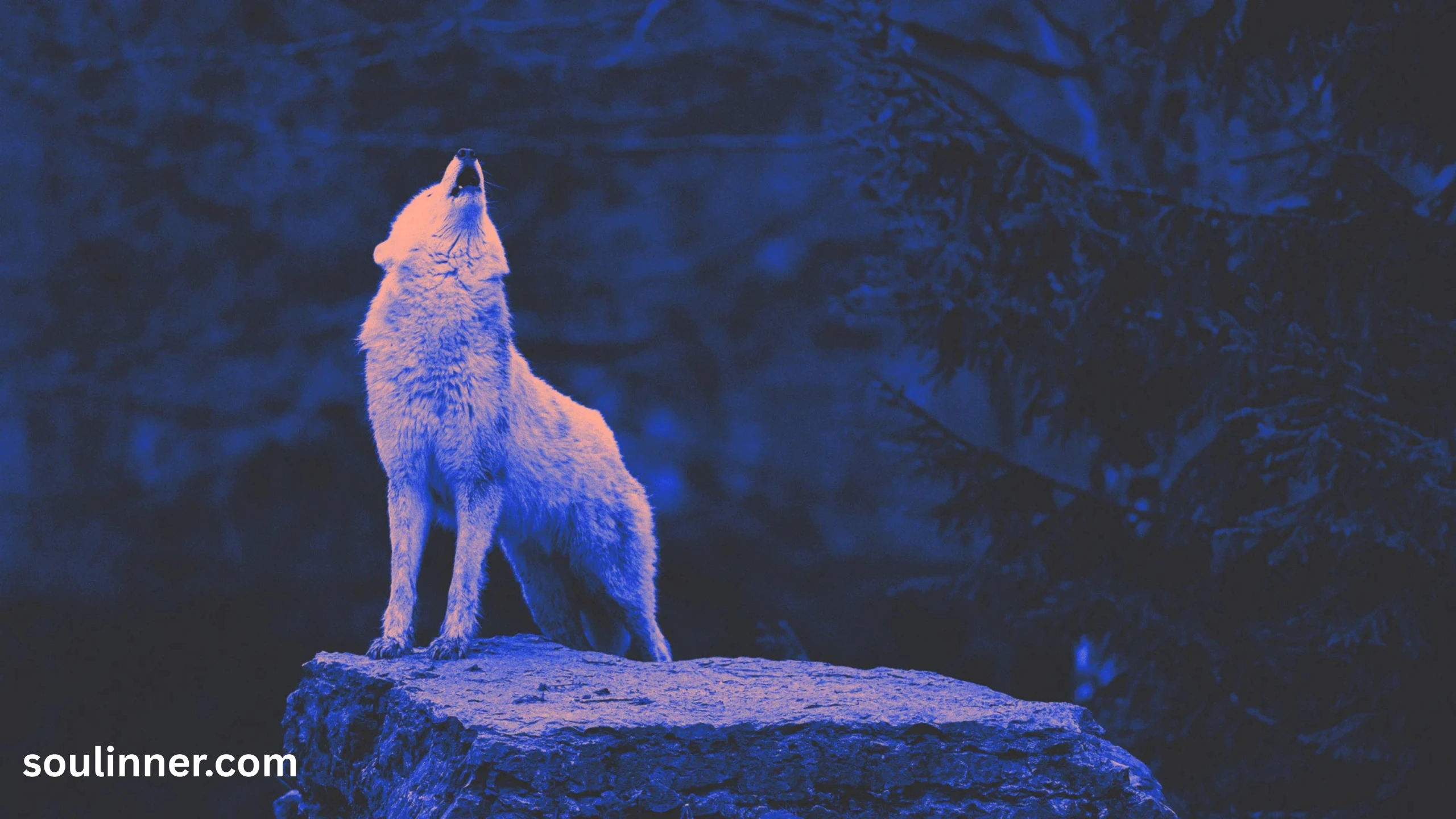 Wolf Symbolism