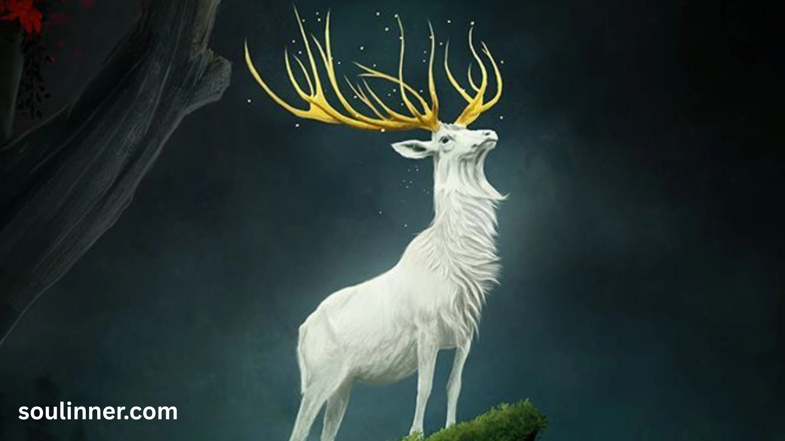 are deer a sign of angels