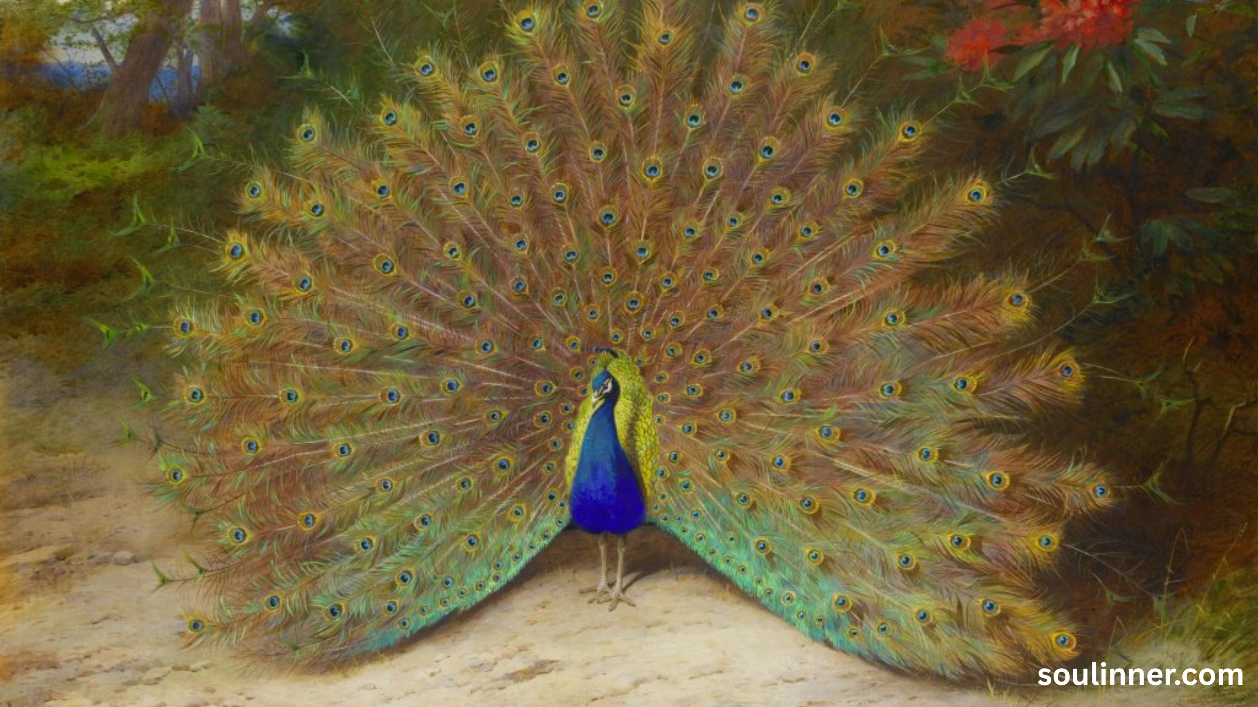 biblical meaning of peacock in dreams