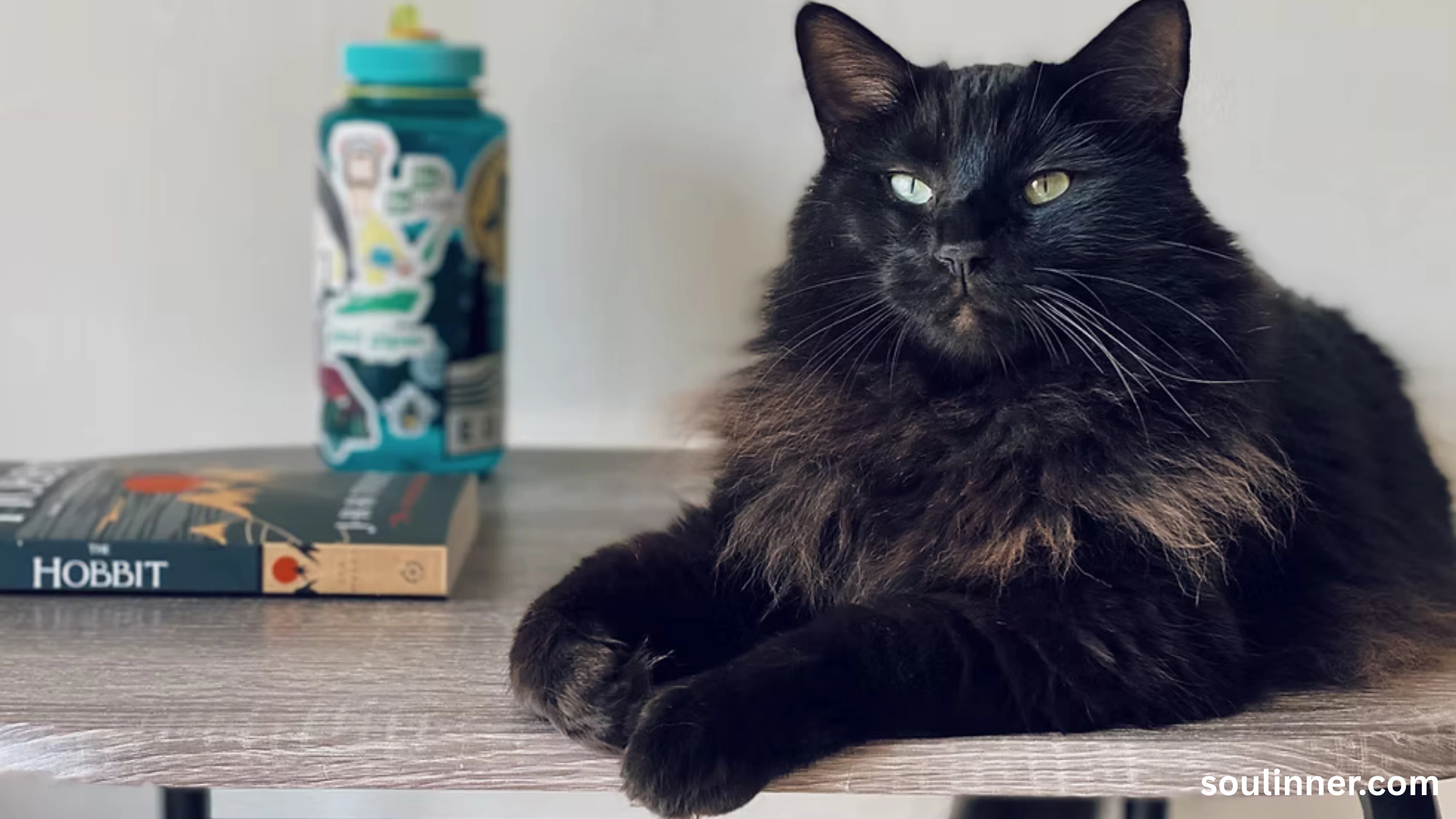 black cat with green eyes spiritual meaning