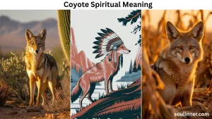 coyote spiritual meaning