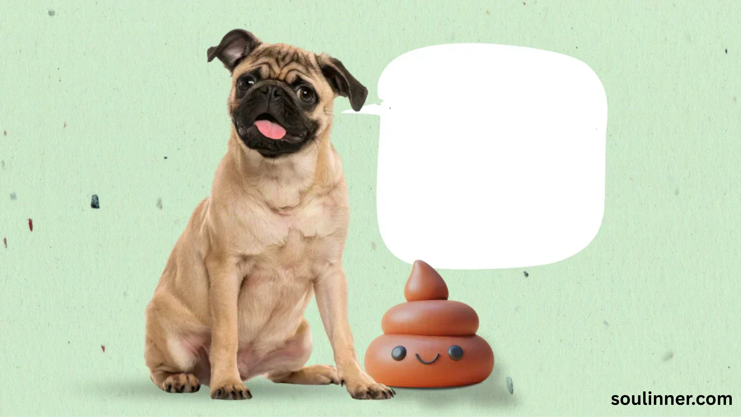 dog poop in front of my house spiritual meaning
