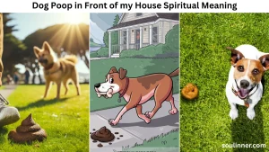 dog poop in front of my house spiritual meaning
