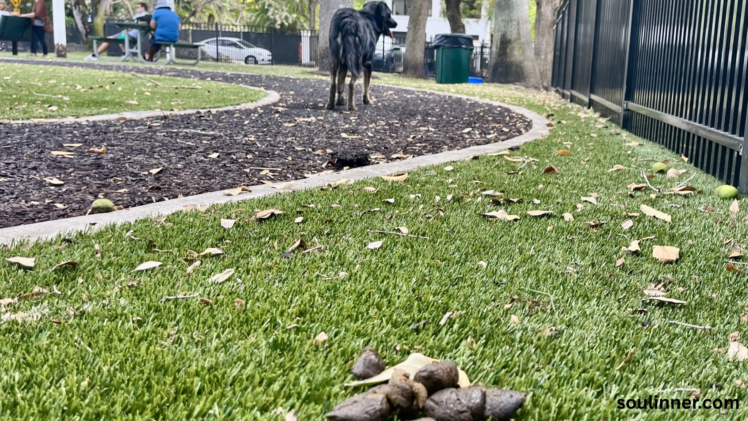 dog poop in front of my house spiritual meaning