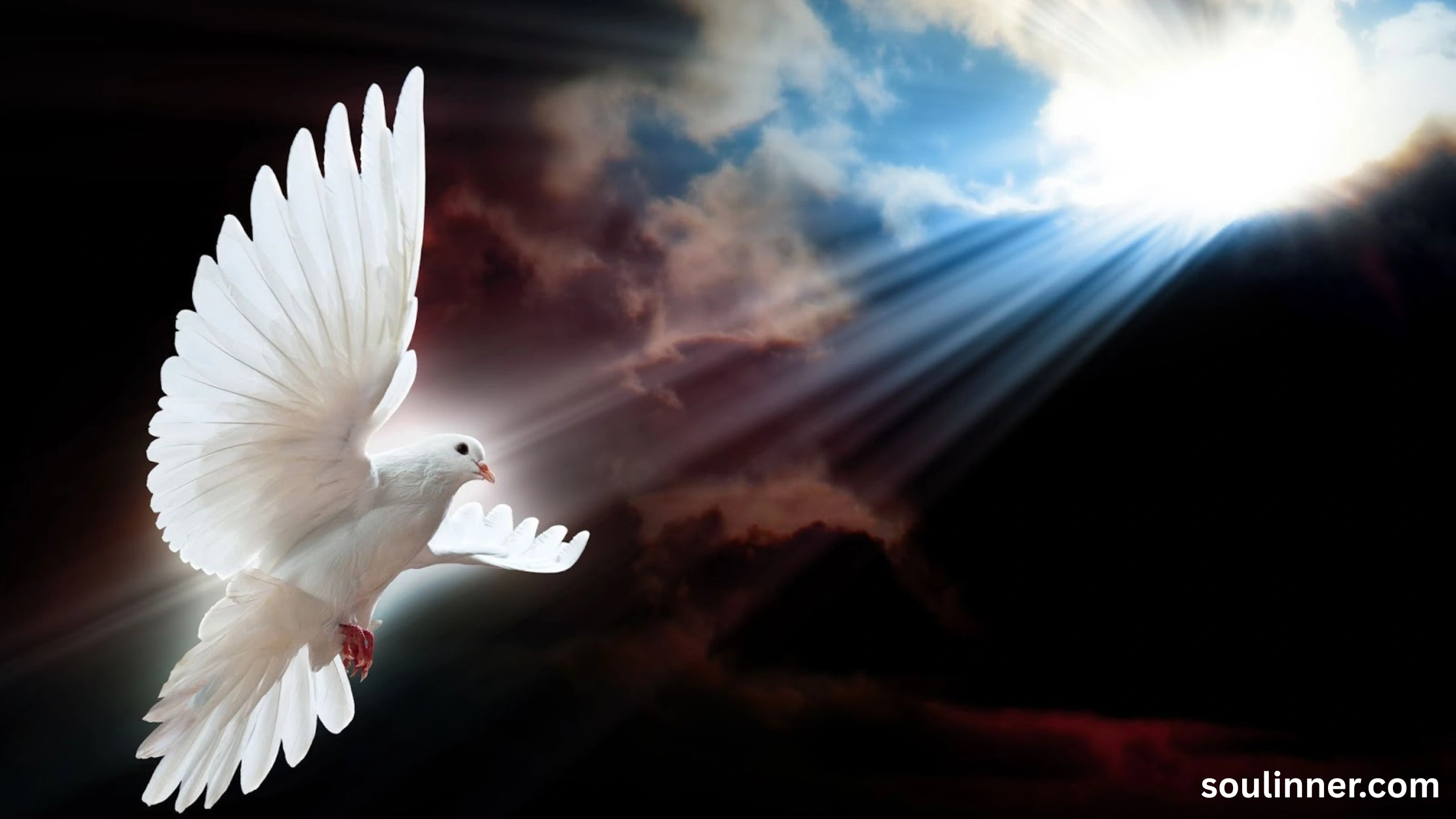 dove symbolism