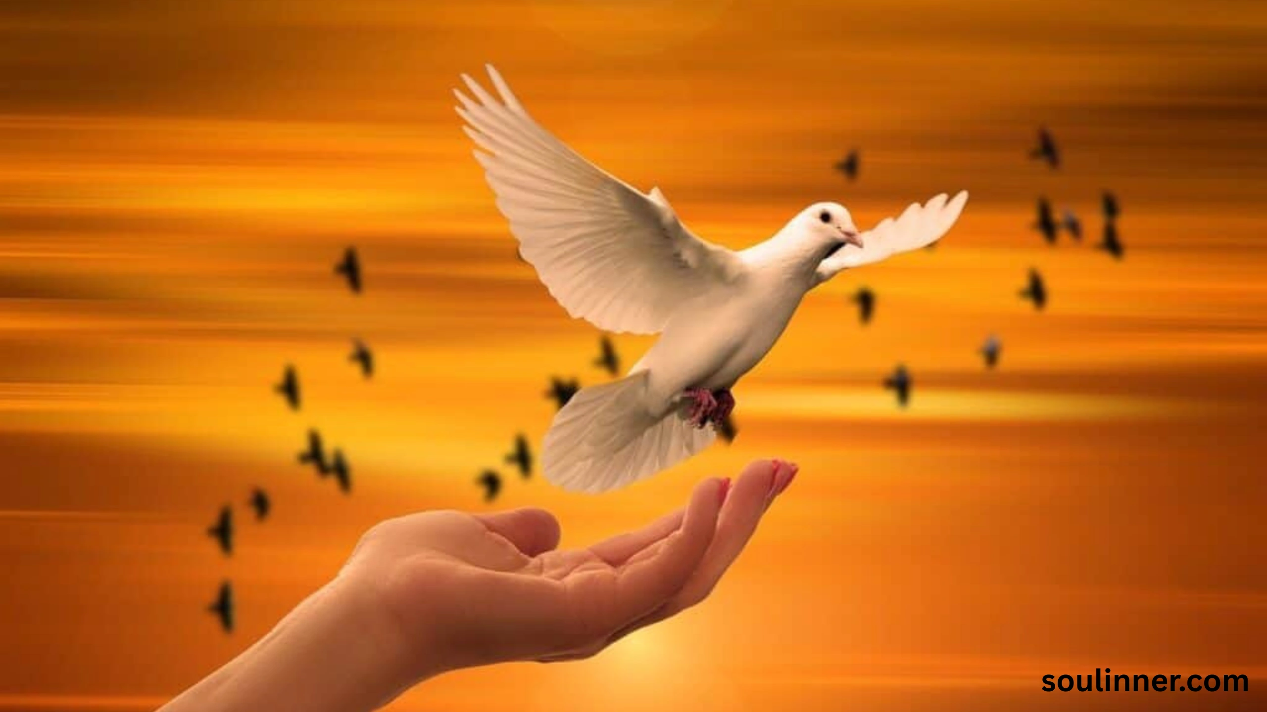 dove symbolism