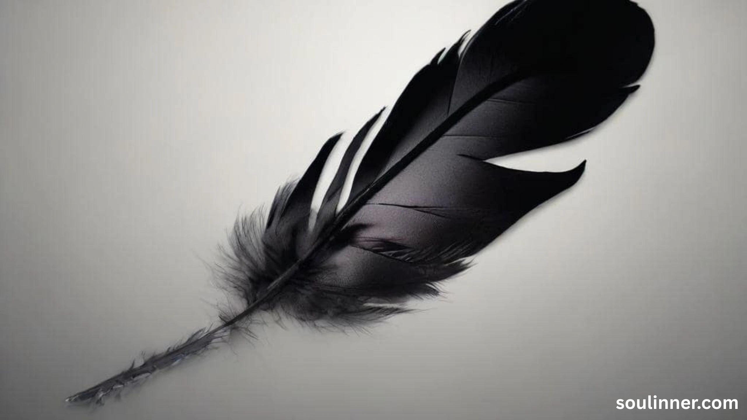 grey and black feather meaning spiritual