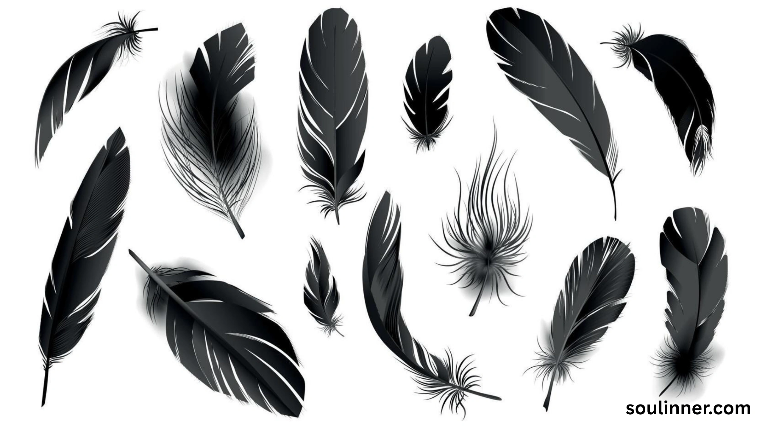 grey and black feather meaning spiritual