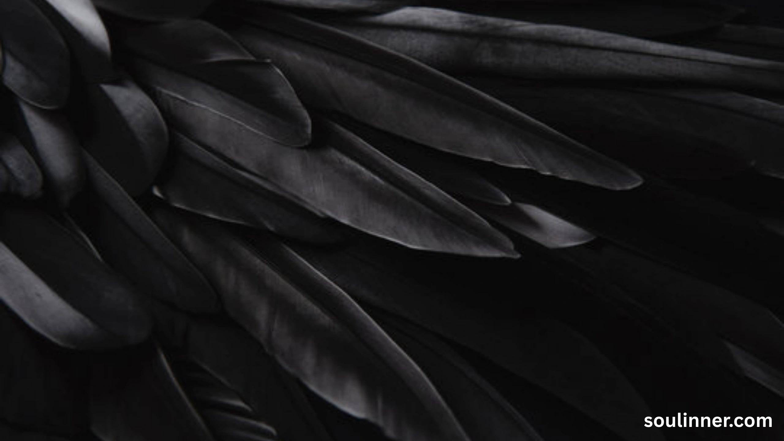 grey and black feather meaning spiritual