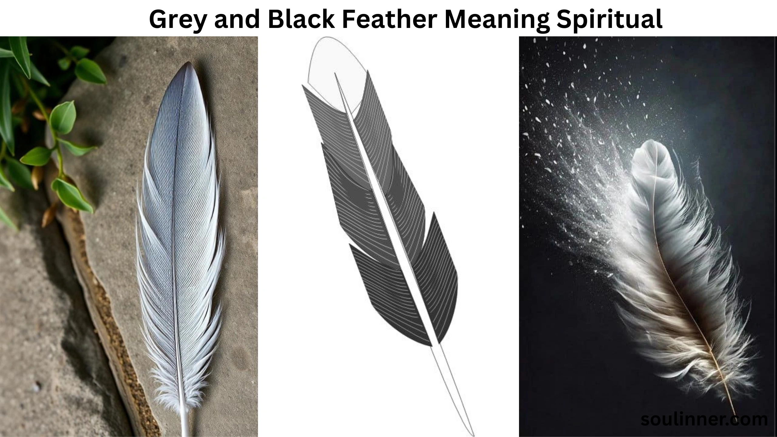 grey and black feather meaning spiritual