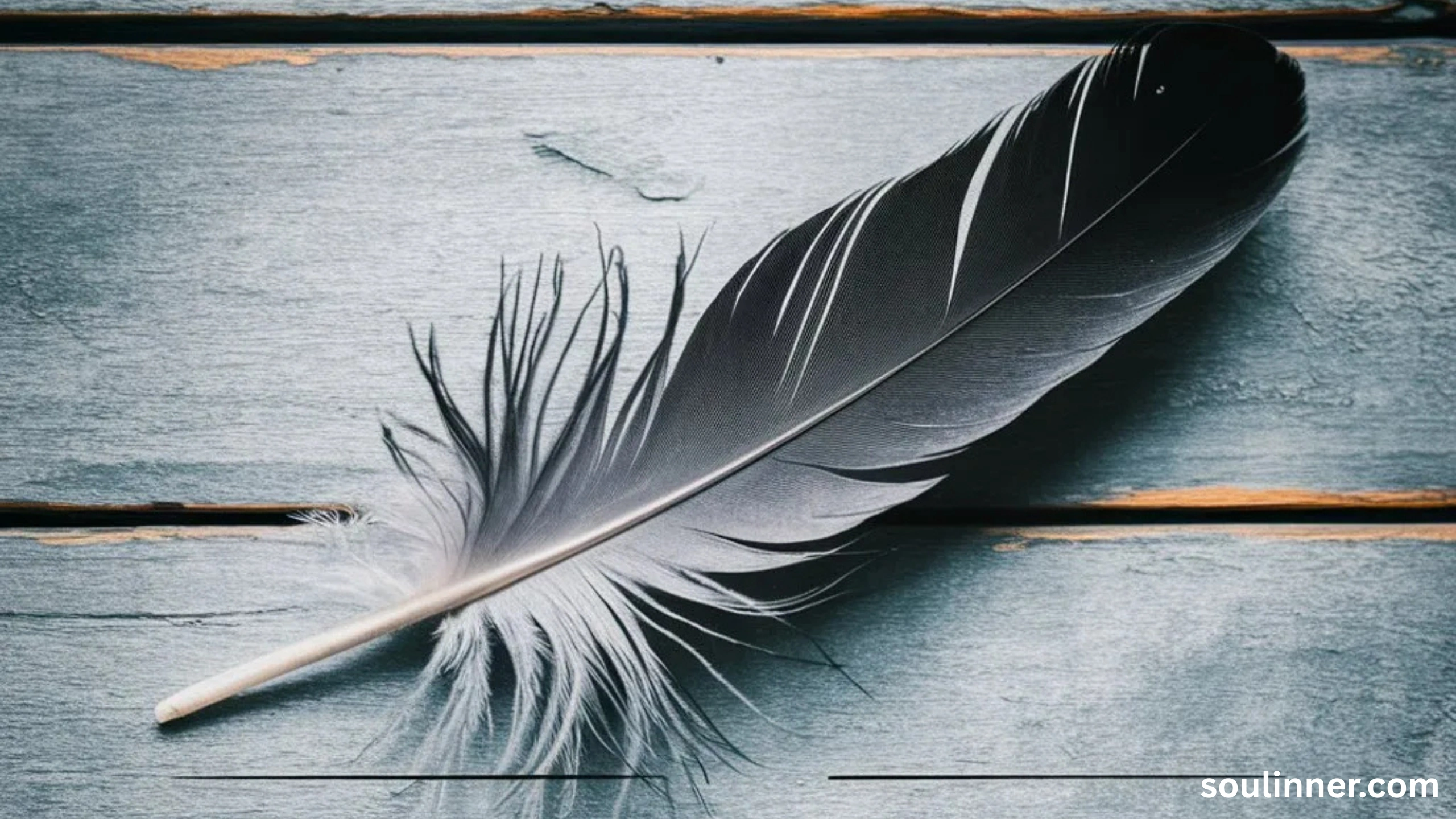grey and black feather meaning spiritual