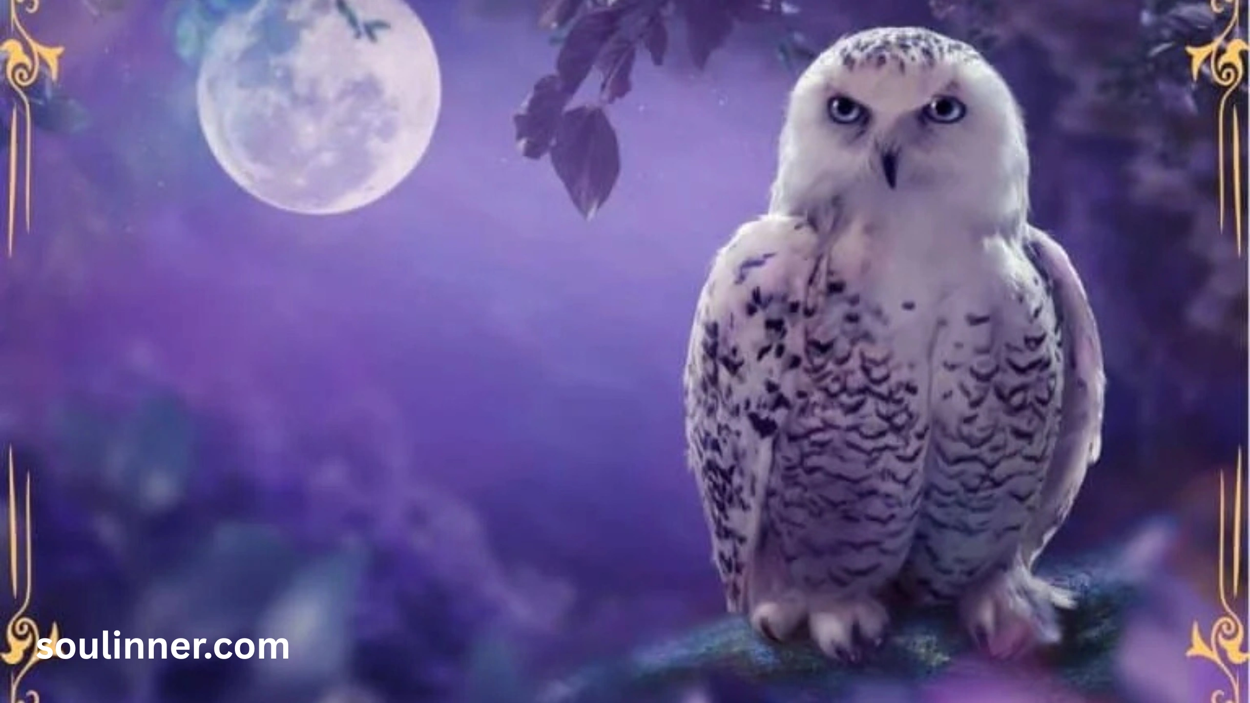 hearing an owl hoot 3 times spiritual meaning