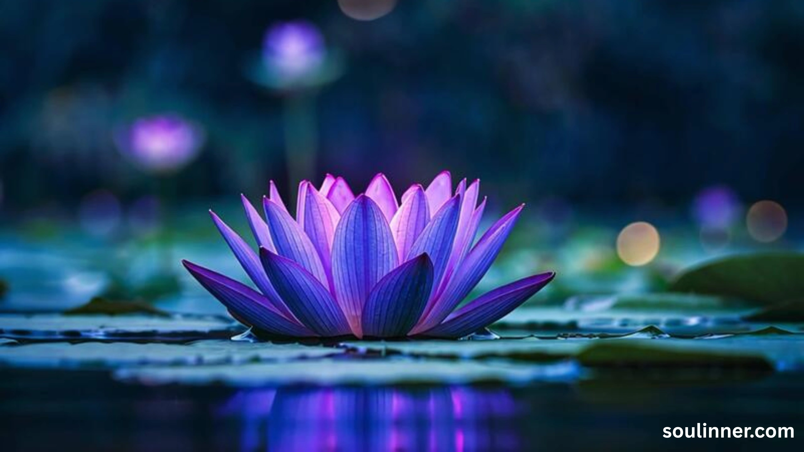 lotus symbolism