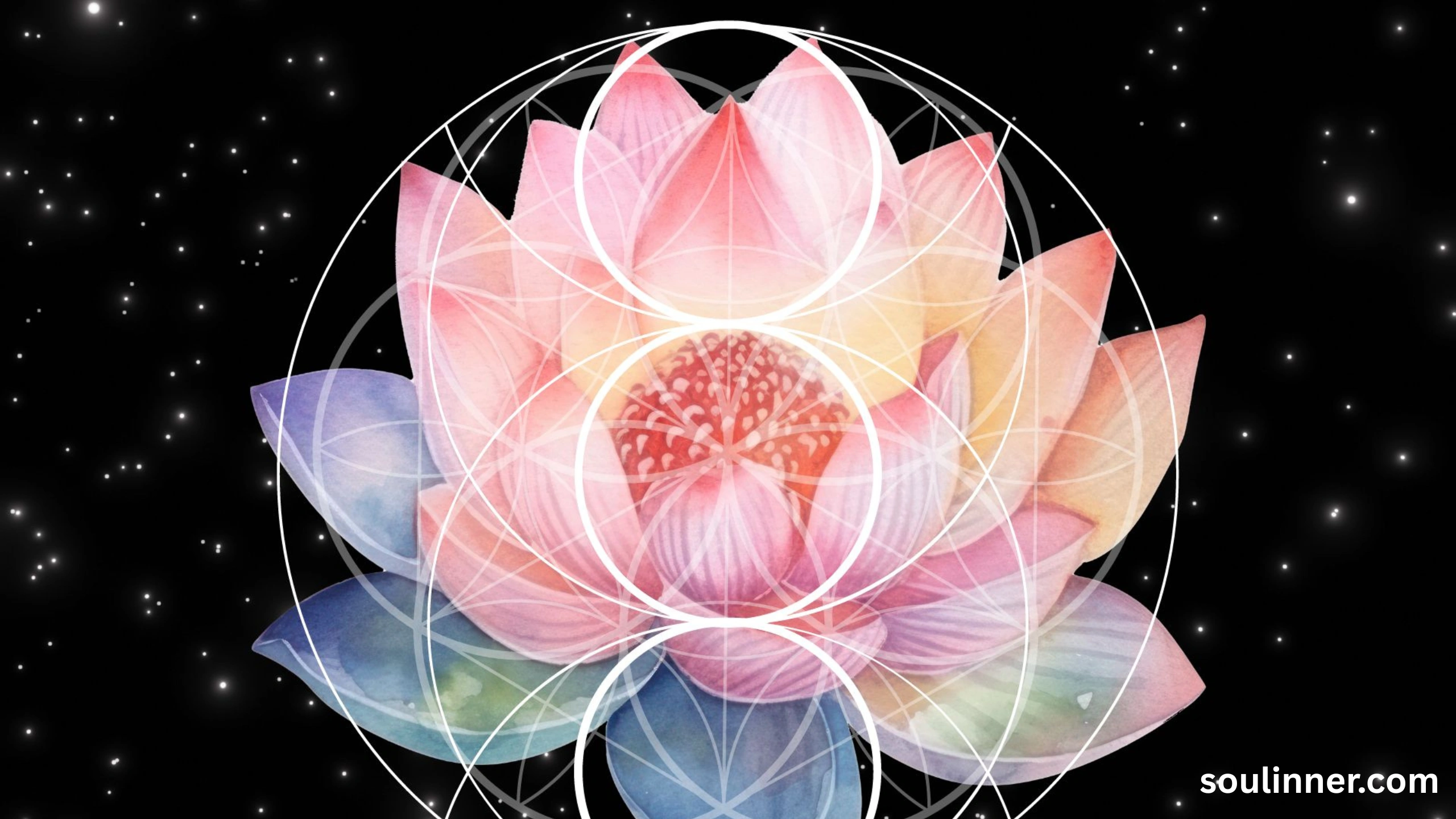 lotus symbolism