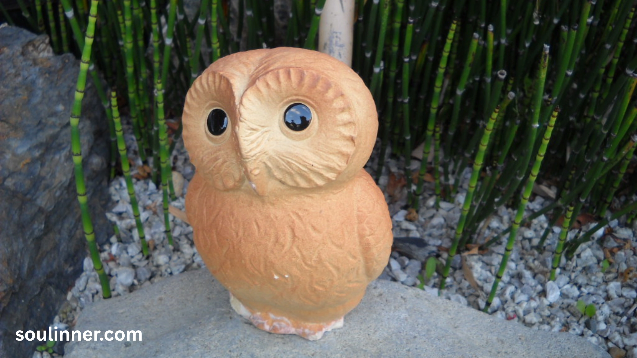 owl symbolism