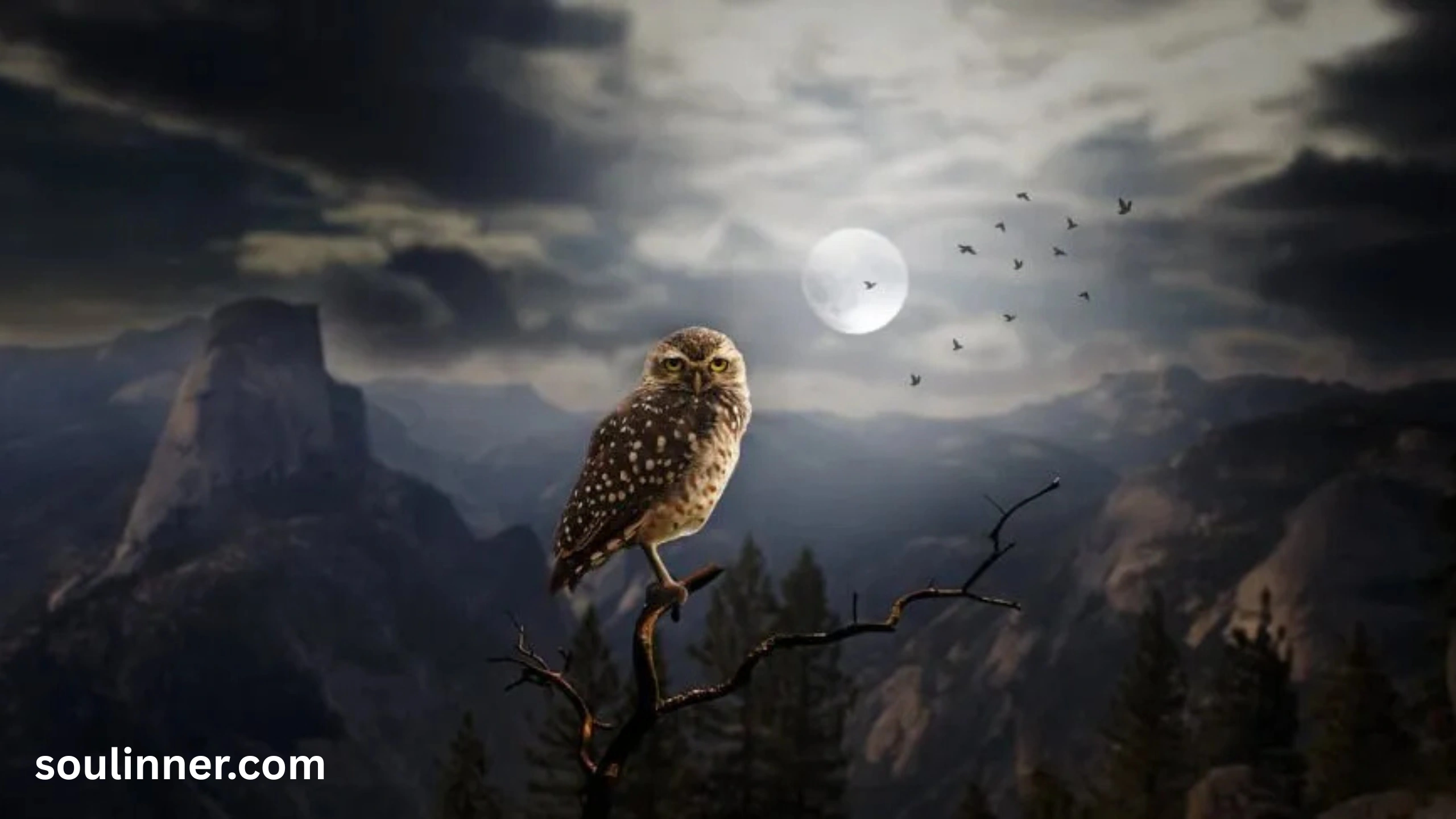 owl symbolism