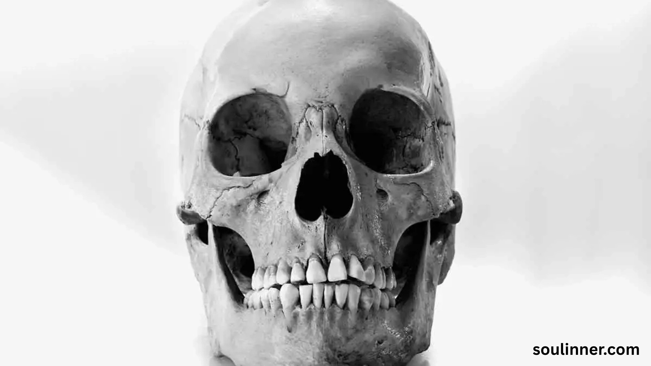 skull symbolism