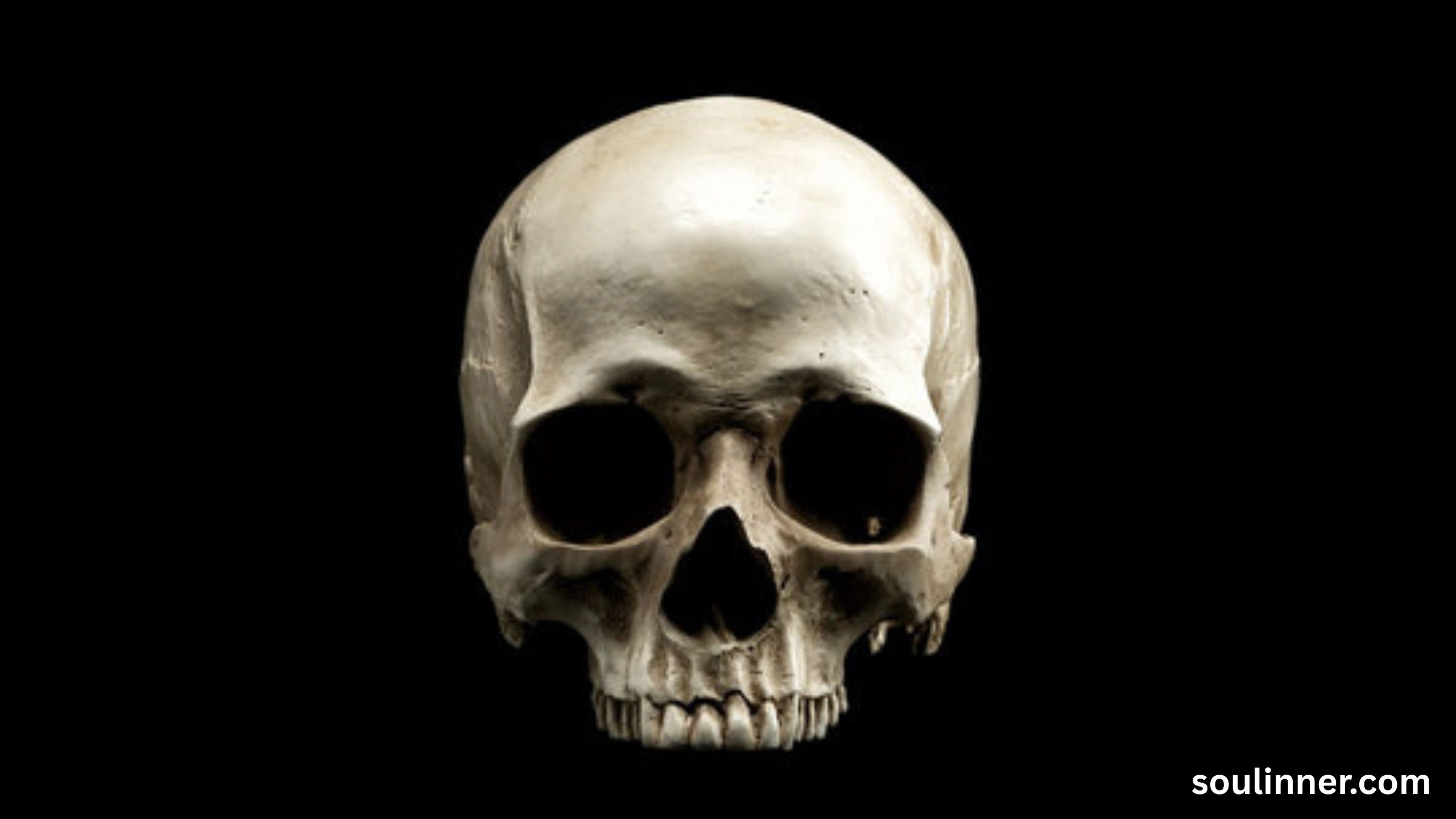 skull symbolism