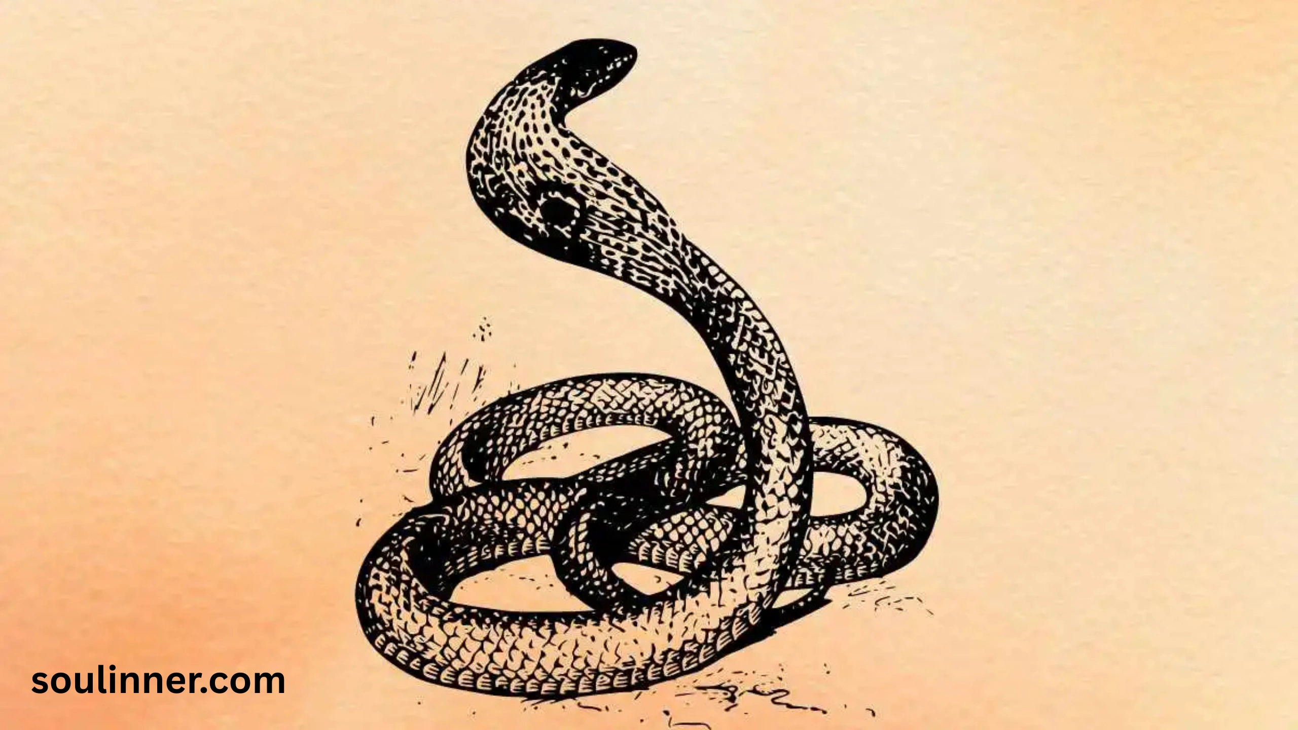 snake symbolism