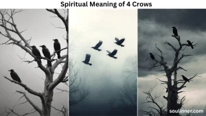 spiritual meaning of 4 crows